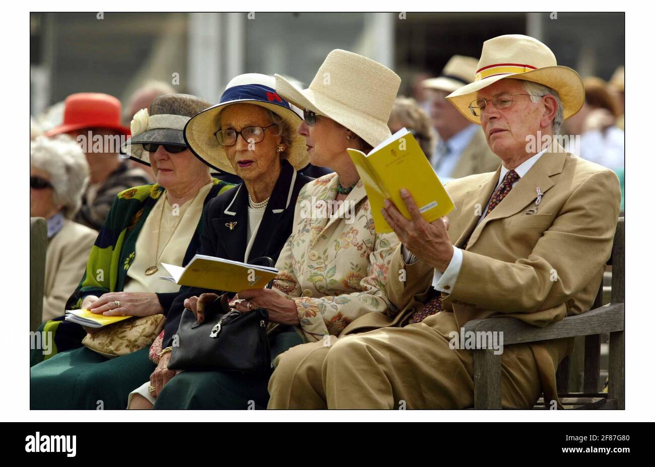 Der erste Tag des glorreichen Goodwood 2004...... PIC David Sandison 27/7/2004 Stockfoto
