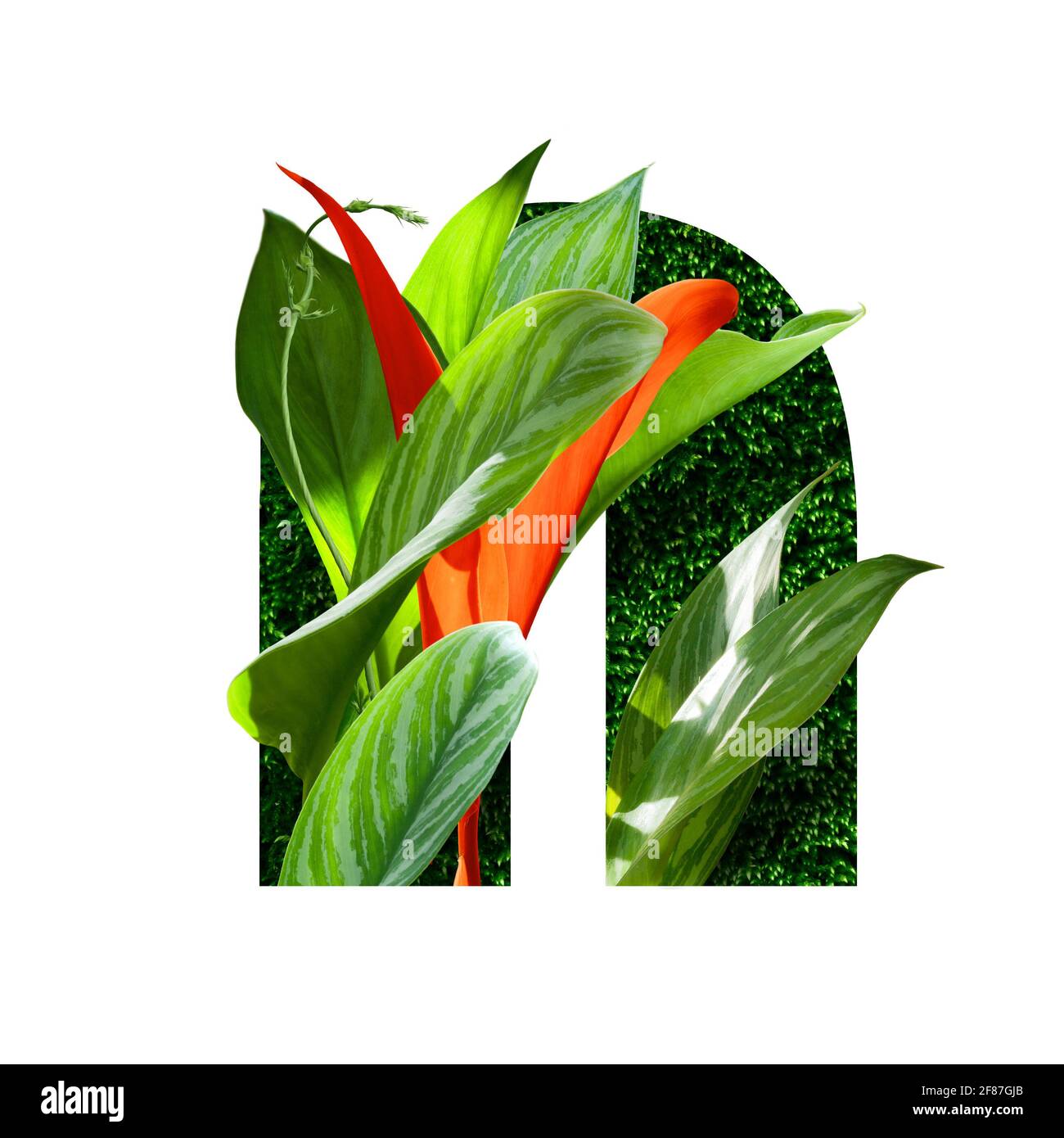 Blumenschrift Alphabet n, aus echten Blumen. Sammlung von brillanten Flora Schriftart für Ihre einzigartige Dekoration im Frühjahr, Sommer, Hochzeitseinladungen, gr Stockfoto