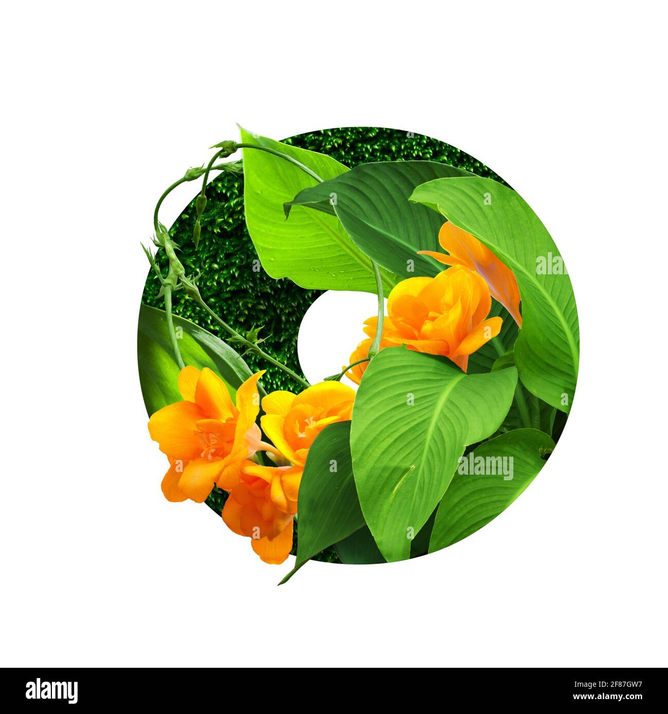 Blumenalphabet Illustration, Buchstabe o. Satz von Briefen mit botanischem Blumenstrauß. Hochzeitseinladungen, Grußkarten, Geburtstag, Logo, Poster andere Ideen Stockfoto
