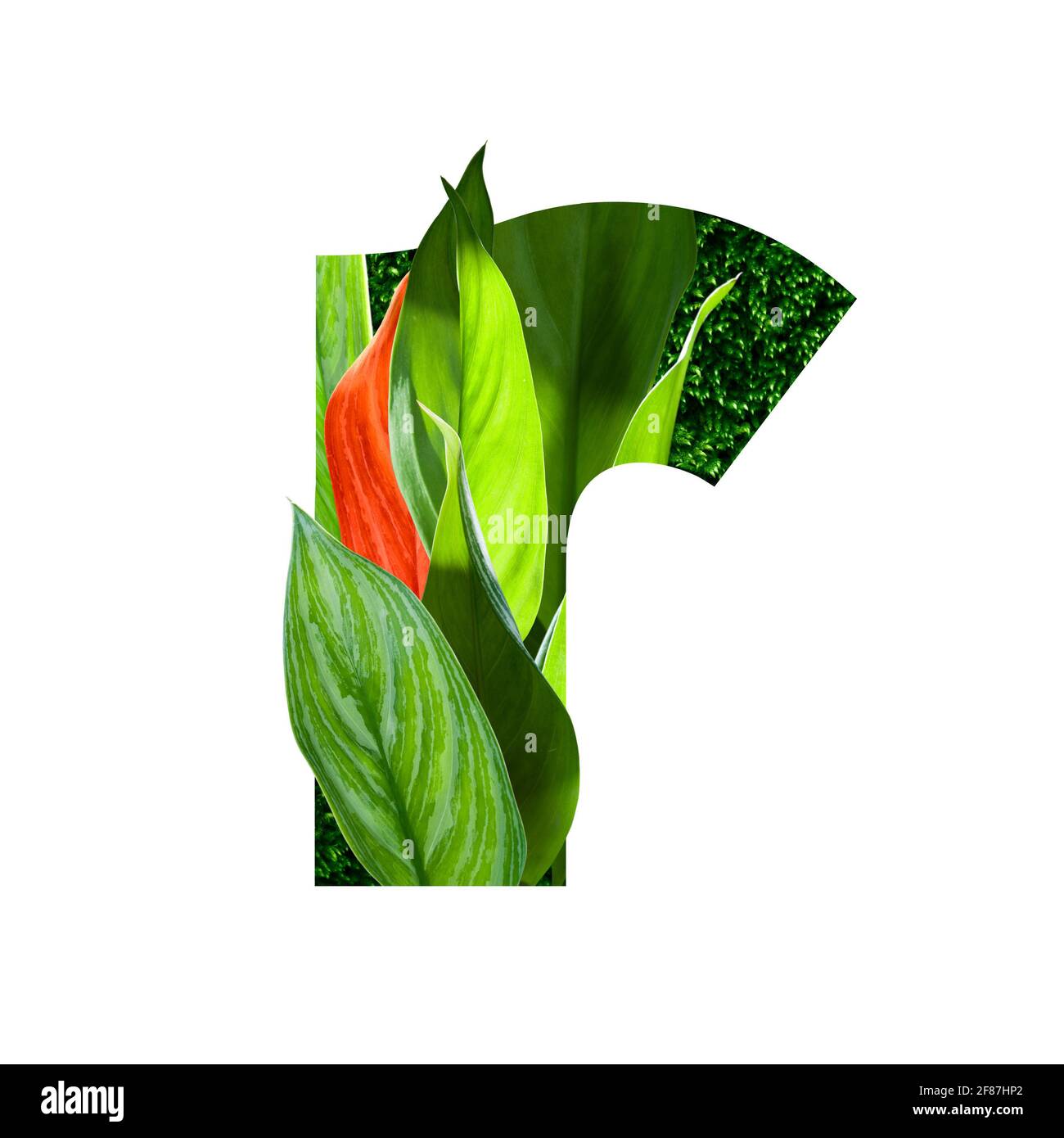 Blumenalphabet Illustration, Buchstabe r. Satz von Briefen mit botanischem Blumenstrauß. Hochzeitseinladungen, Grußkarten, Geburtstag, Logo, Poster andere Ideen Stockfoto