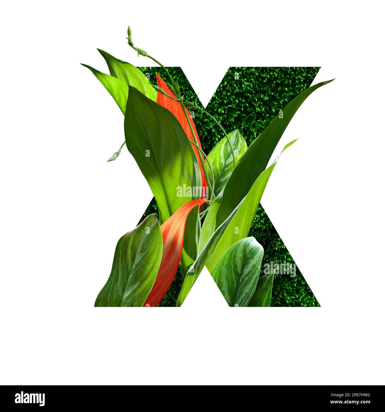 Blumenalphabet Illustration, Buchstabe x. Satz von Briefen mit botanischem Blumenstrauß. Hochzeitseinladungen, Grußkarten, Geburtstag, Logo, Poster andere Ideen Stockfoto