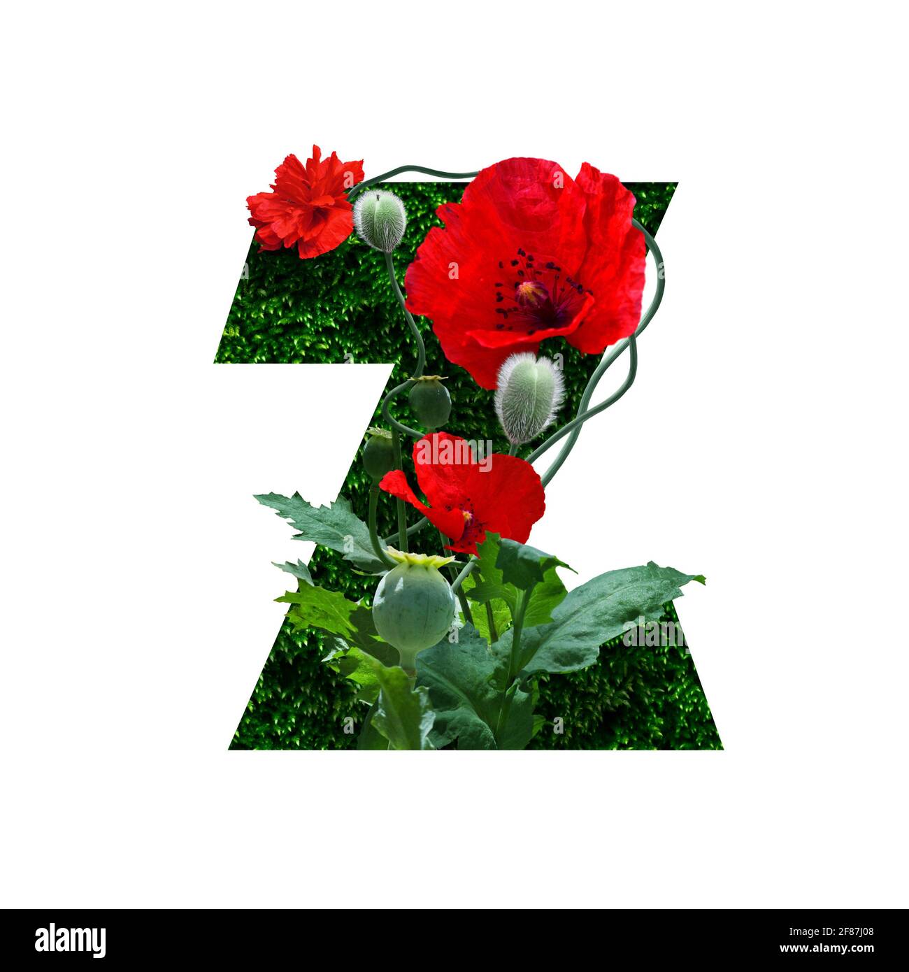 Blumenschrift Alphabet z, aus echten Blumen. Sammlung von brillanten Flora Schriftart für Ihre einzigartige Dekoration im Frühjahr, Sommer, Hochzeitseinladungen, gr Stockfoto