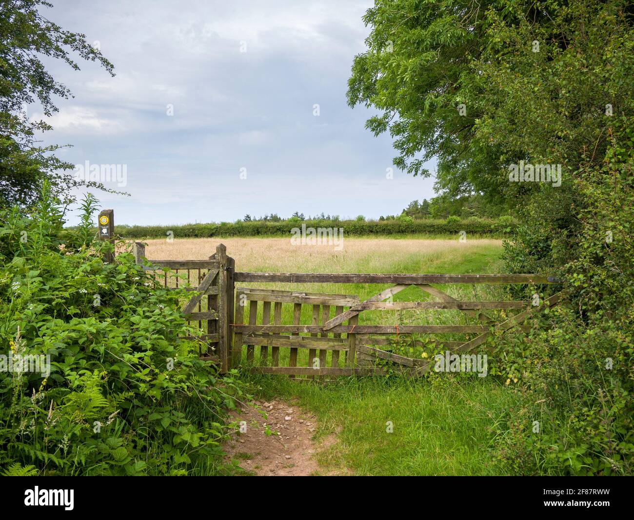 Ein öffentlicher Fußweg auf Burrington Ham durch ein altes hölzernes Tor, das zu einer Wiese in der Mendip Hills National Landscape in Somerset, England führt. Stockfoto