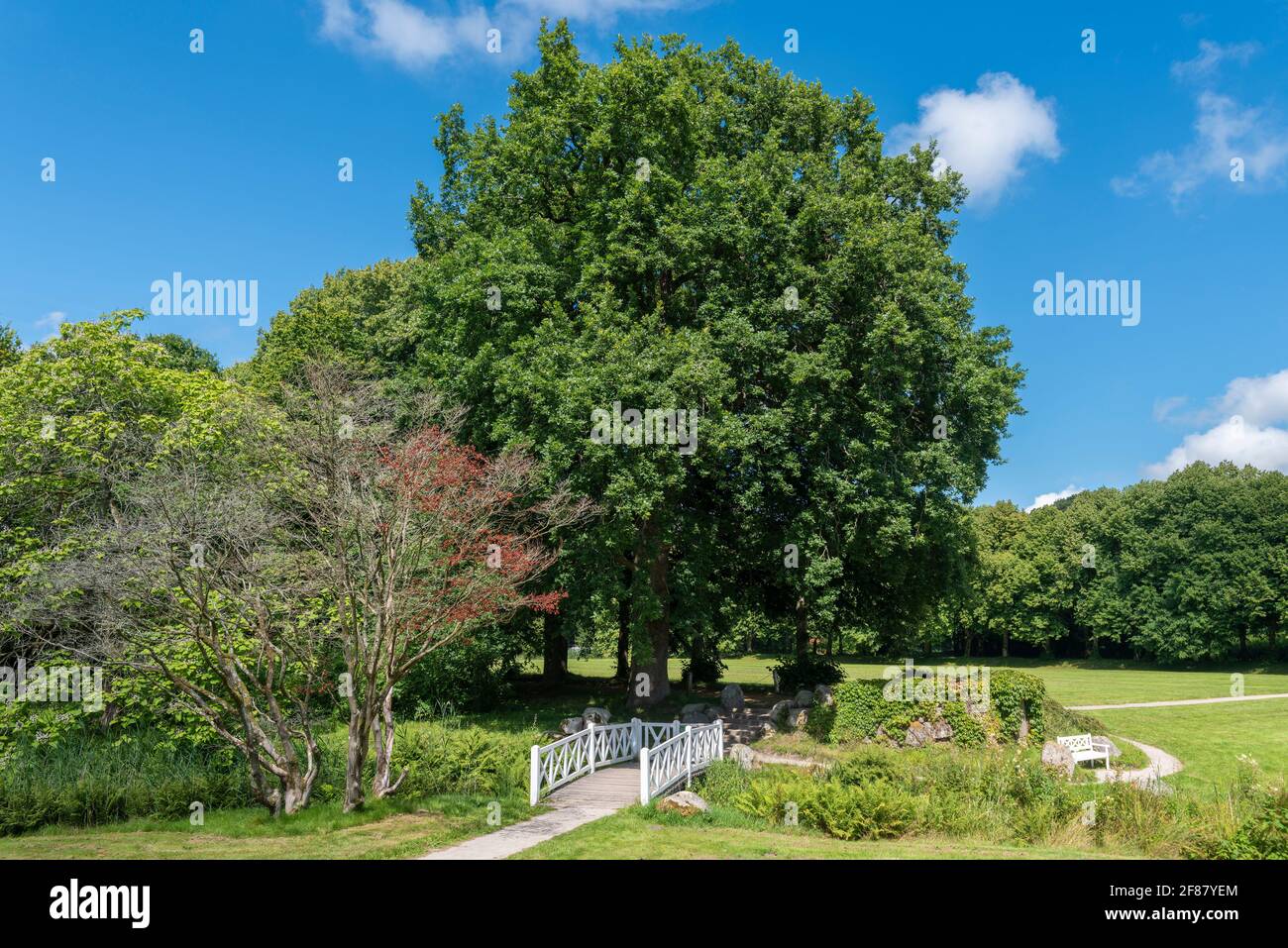 Landschaftsgarten und Schlosspark von Lütetsburg Schloss, Lütetsburg, Niedersachsen, Deutschland, Europa Stockfoto