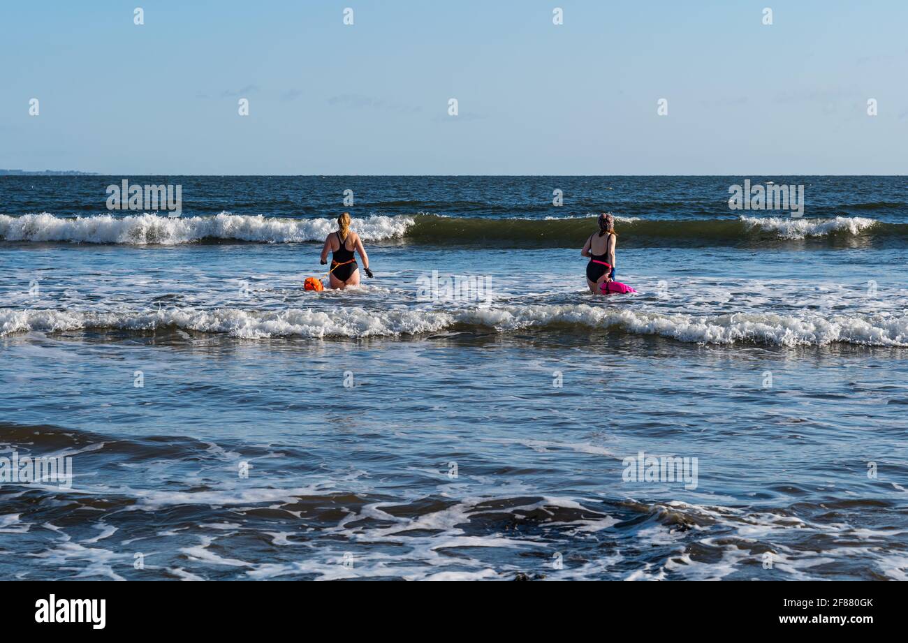 Zwei Schwimmerinnen im Freien oder im Freien in Badeanzügen mit Schwimmern gehen an einem sonnigen Tag ins Meer, Firth of Forth, Schottland, Großbritannien Stockfoto