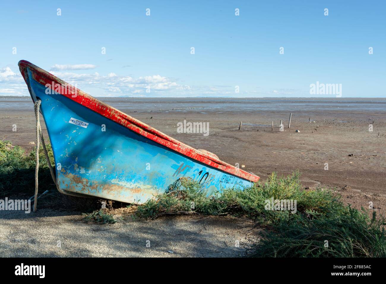 Ruderboot im Nationalpark Camargue, Frankreich Stockfoto