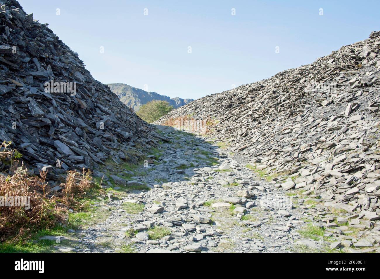 Dow Crag aus dem Steinbruch gesehen bleibt in der Nähe des Ufers von Torver Beck Coniston The Lake District Cumbria England Stockfoto