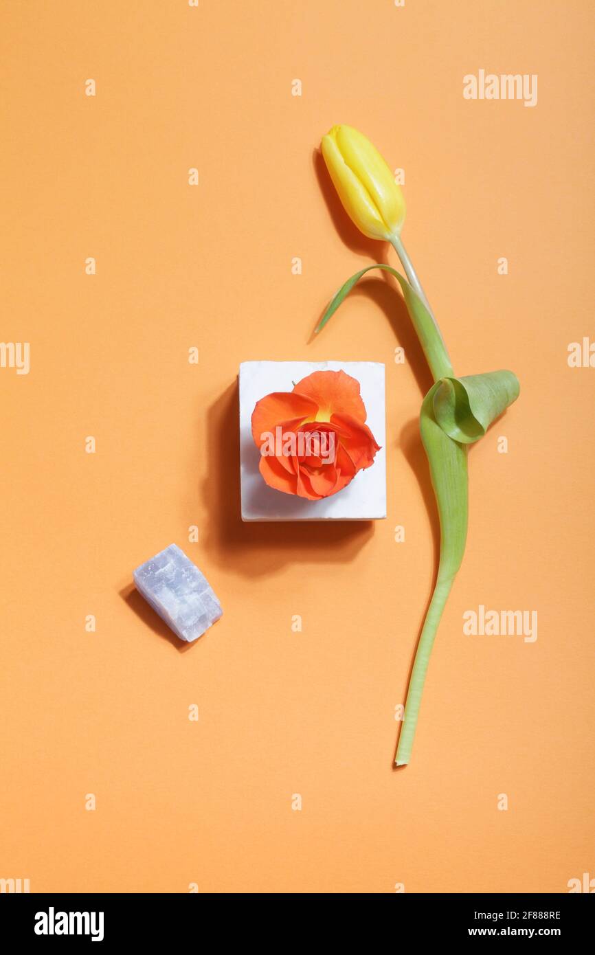 wabi sabi , organisches Designkonzept. Blumen im skandinavischen und japanischen Stil. Orangefarbene Rose auf Marmor, gelbe Tulpe, Kristallmineral auf orangefarbenem Hintergrund Stockfoto