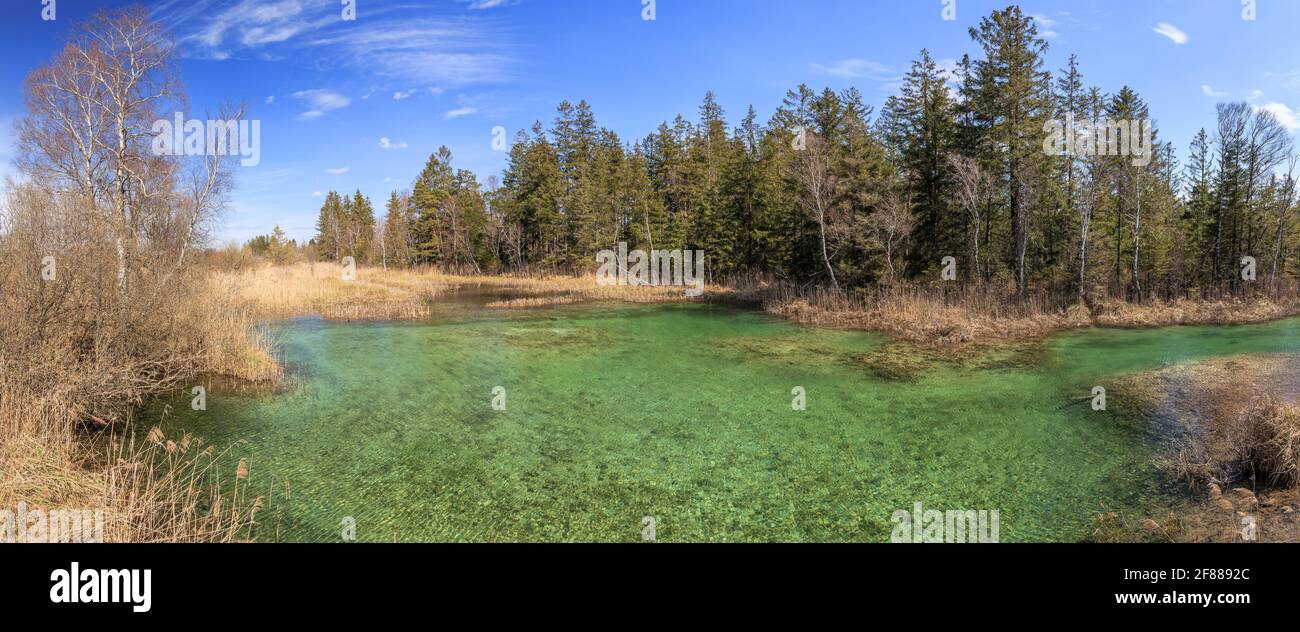 Naturschutzgebiet Wurzacher Ried - Wurzacher Ach-Quelle, Reiseziel in Bad Wurzach in Oberschwaben. Stockfoto