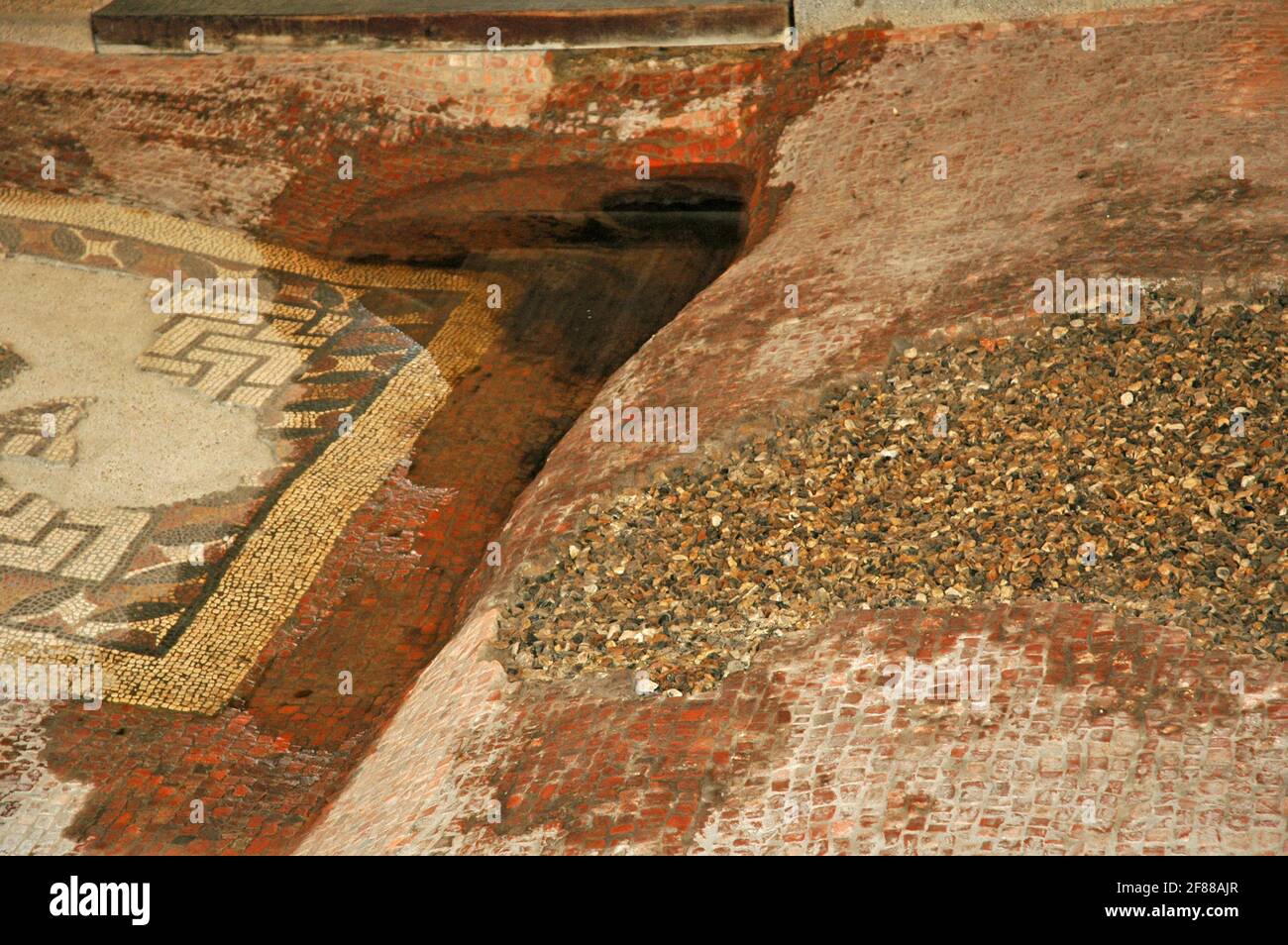 Mosaik aus dem zweiten oder dritten Jahrhundert im Fishbourne Roman Palace, in der Nähe von Chichester, West Sussex, England. Absenkung zeigt Flexibilität. Stockfoto