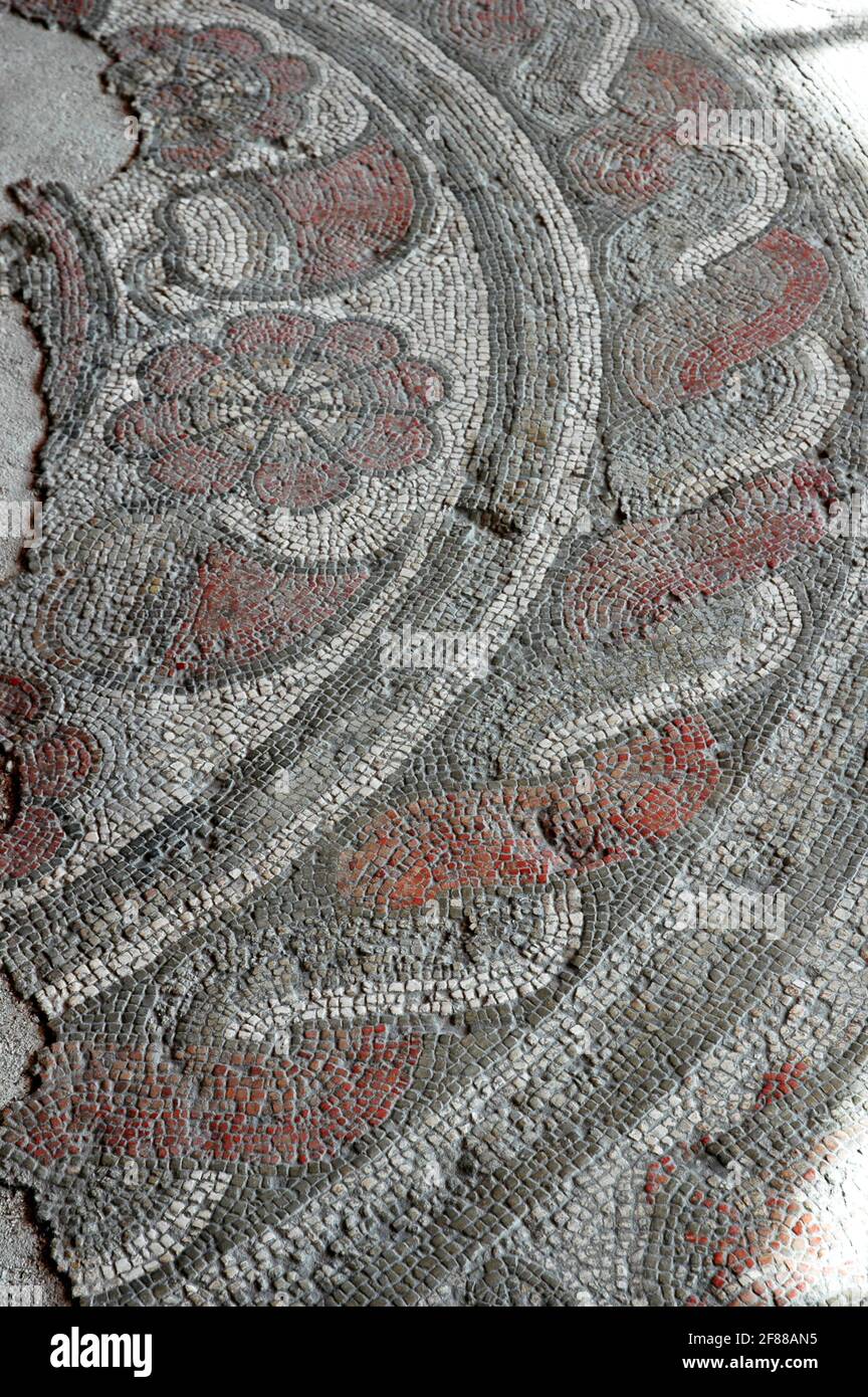 Ein hervorragendes Beispiel für Mosaikkunst. Ungewöhnlich, weil es das erste Jahrhundert und viele farbige ist, wenn die meisten Mosaike des ersten Jahrhunderts schwarz und weiß sind. Stockfoto