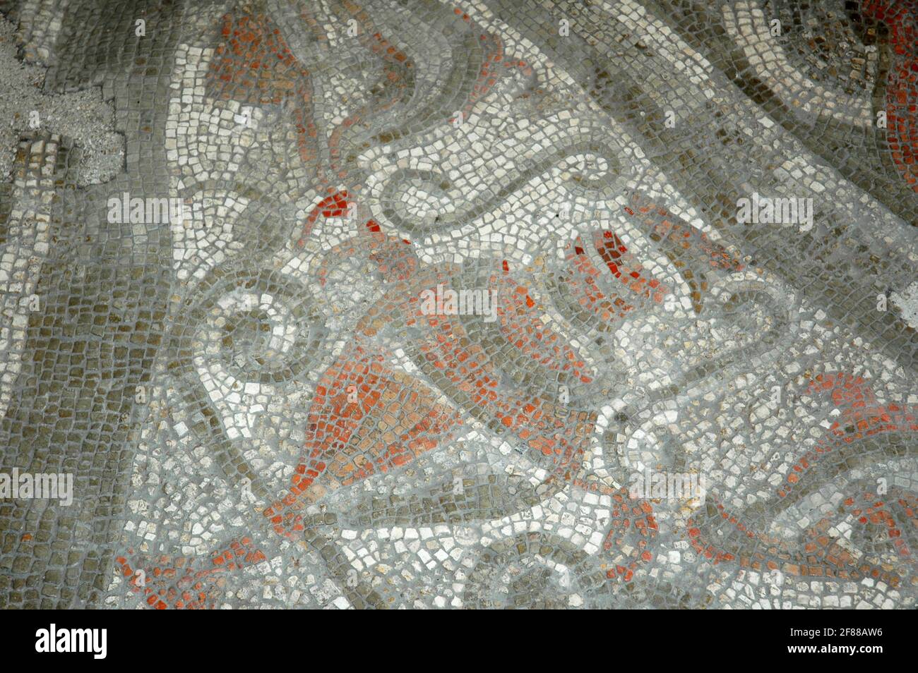 Eckvase Detail des Mosaiks aus dem ersten Jahrhundert n. Chr., Fishbourne Roman Palace, in der Nähe von Chichester, West Sussex, England, VEREINIGTES KÖNIGREICH. Stockfoto