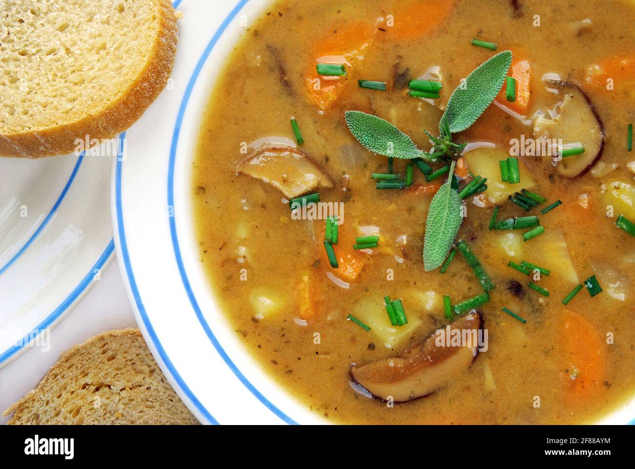Nahaufnahme der Kartoffelsuppe mit Pilzen auf dem Teller, mit Brot, einer der beliebtesten traditionellen tschechischen vegetarischen cremigen Suppen mit Gemüse Stockfoto Nahaufnahme der Kartoffelsuppe mit Pilzen auf dem Teller, mit Brot, einer der beliebtesten traditionellen tschechischen vegetarischen cremigen Suppen mit Gemüse Stockfoto