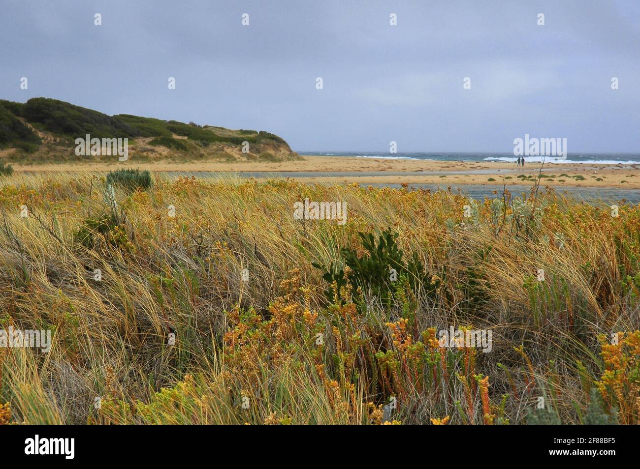 Herbstvegetation an der Mündung des Powlett River, Bass Coast, in der Nähe von Kilcundia, South Gippsland, Victoria, Australien, Mai. Stockfoto