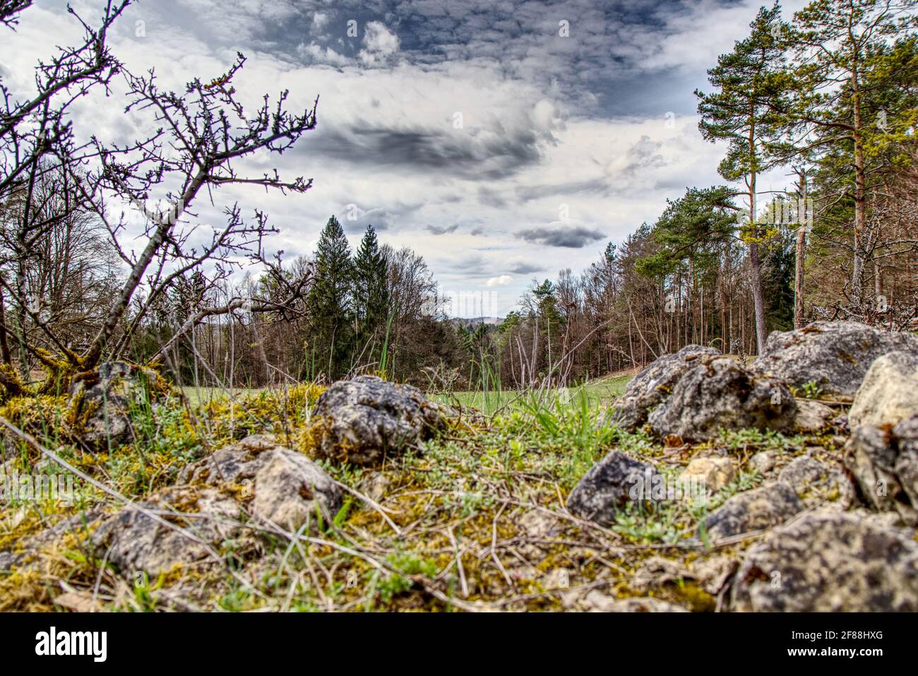 Landschaftlich schöner Blick auf den Wald in oberfranken Stockfoto