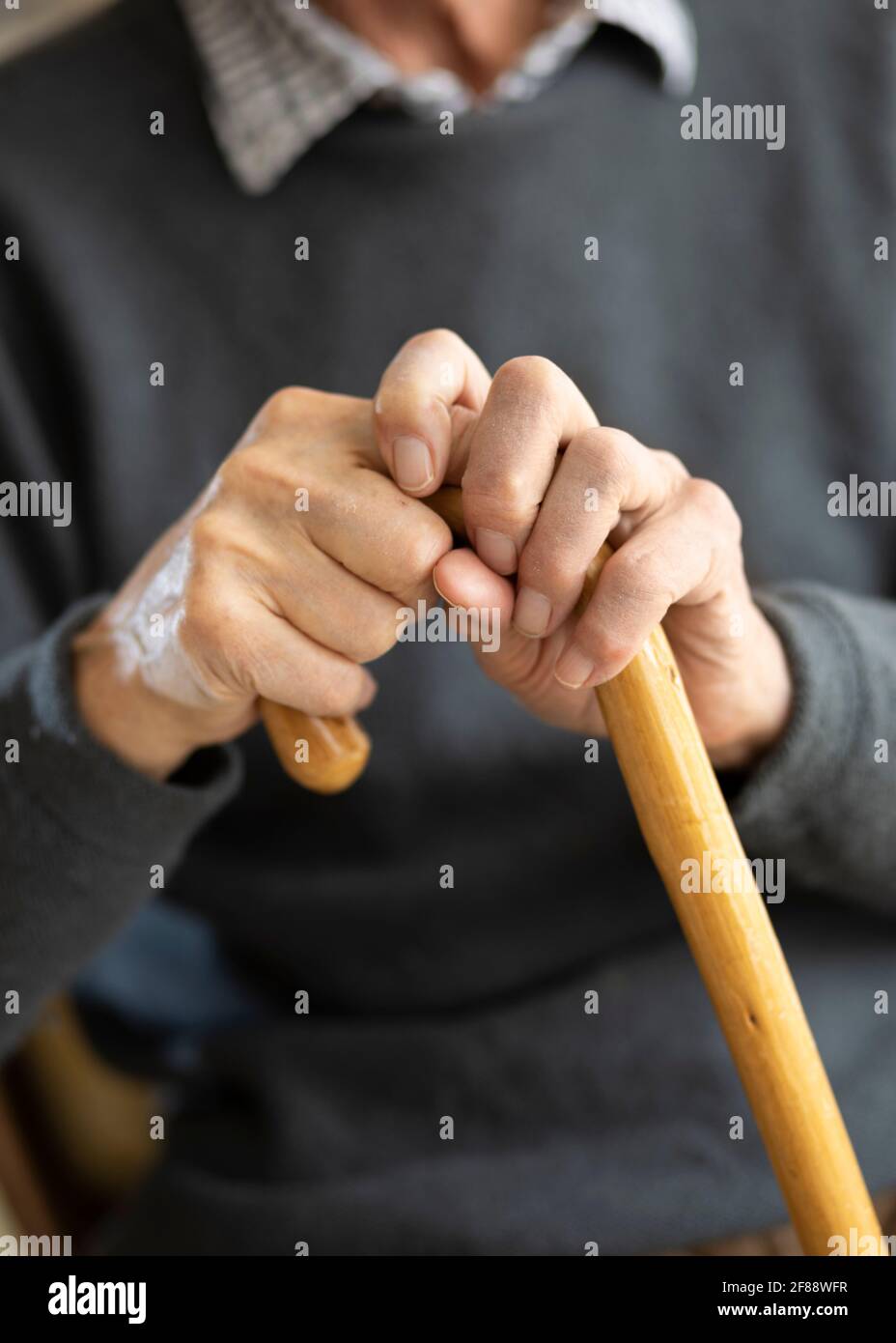 Die Hände des alten Mannes halten einen hölzernen Spazierstock Stockfoto