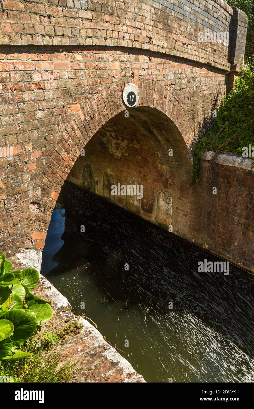 World war II Taunton Stop Line, nachgefüllt Abrisskammern unter Brücke. Taunton und Bridgewater Canal, Maunsel Lock, Großbritannien, Porträt. Stockfoto