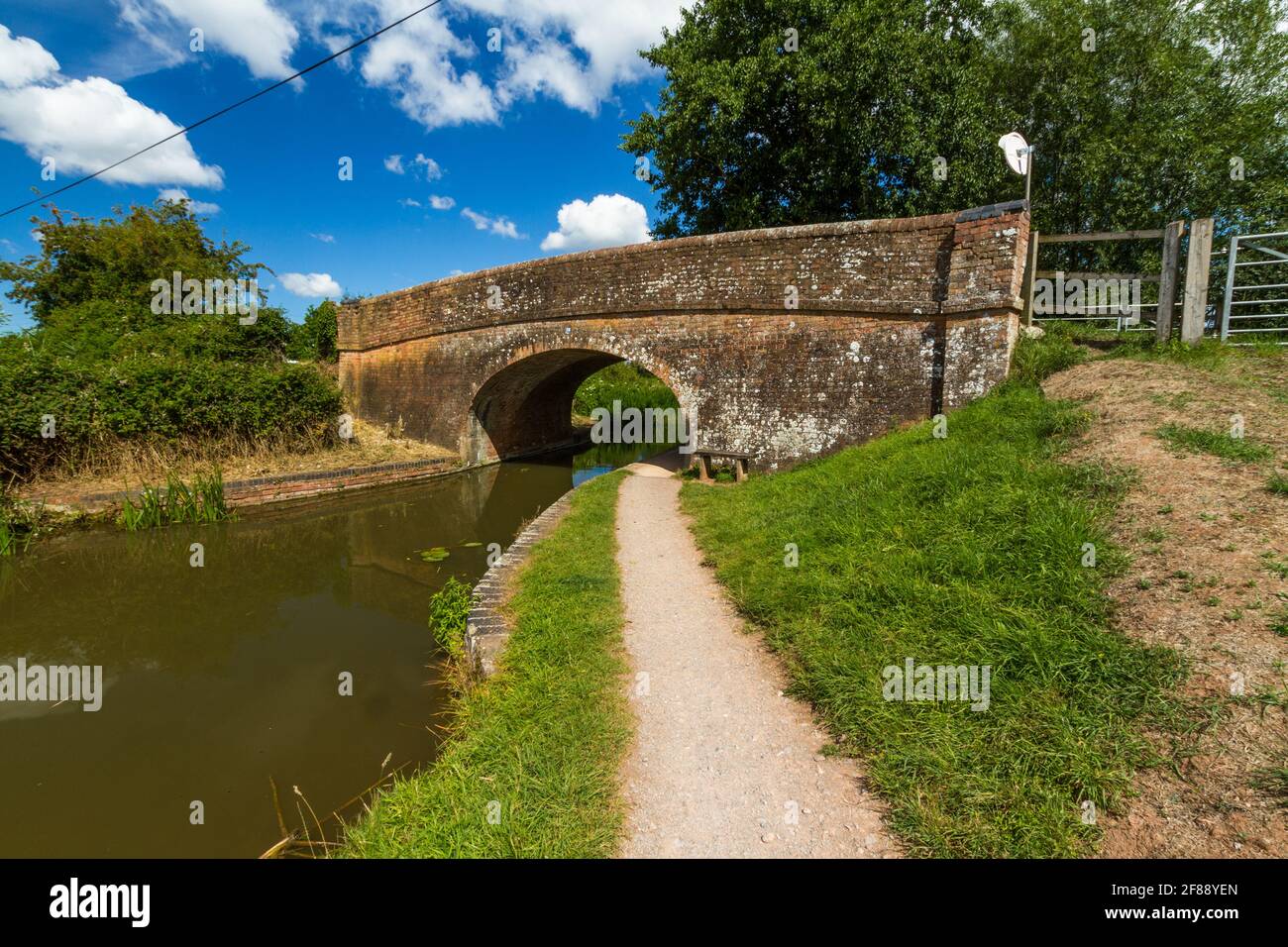 Towpath am British Canal mit Brücke an schönen sonnigen Sommertag. Taunton und Bridgewater Canal, Maunsel Lock, Großbritannien. Stockfoto