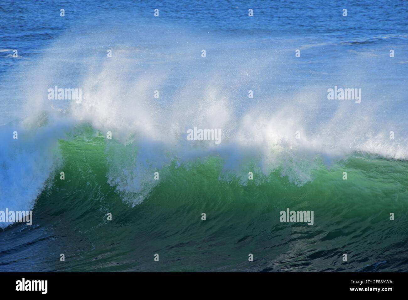 Dampfer Lane in Santa Cruz, Kalifornien Stockfoto