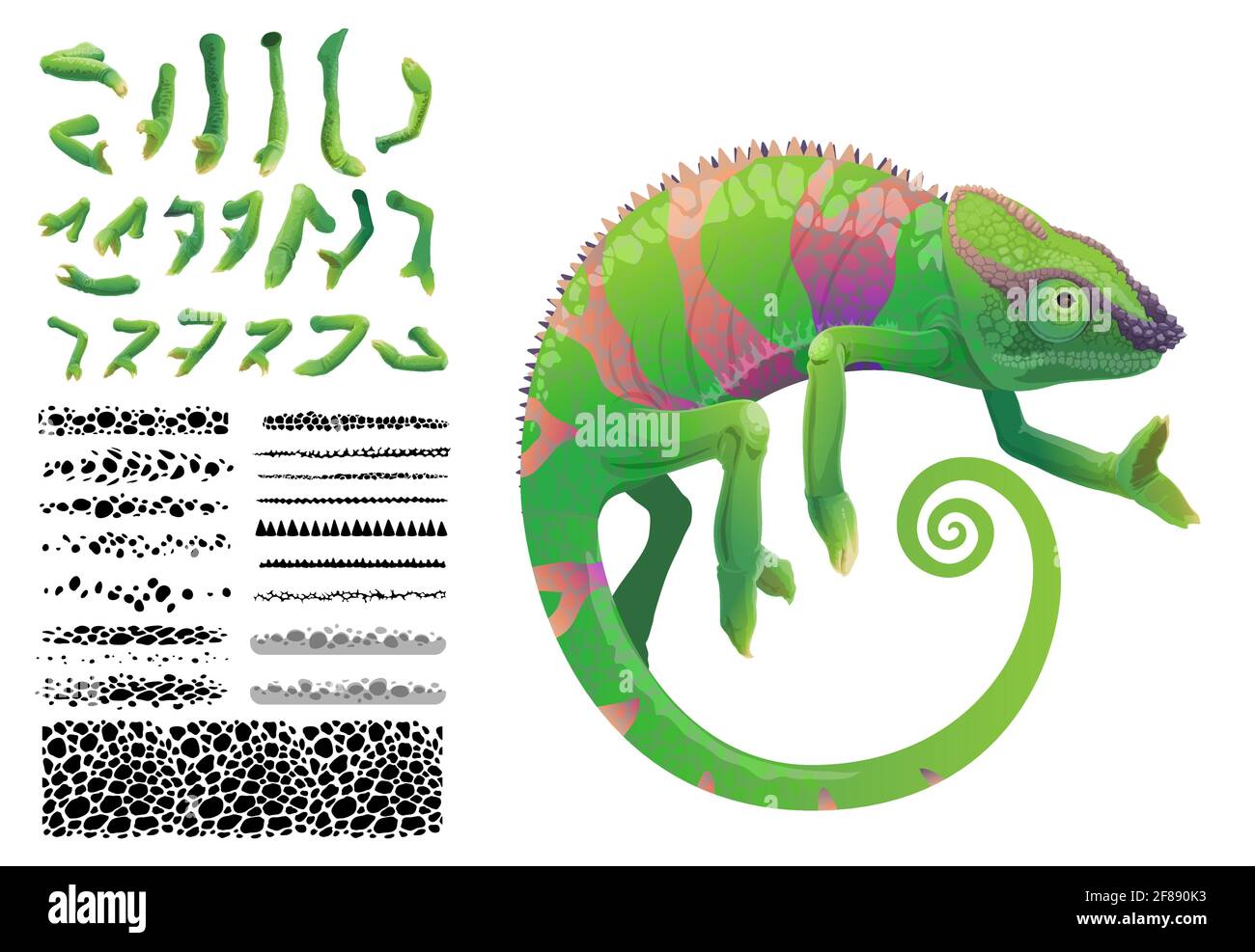 Grünes Chamäleon Eidechse Cartoon Vektor tropischen Reptil Tier. Chameleon Kreation Kit mit Konstruktor Set von Hautmuster Pinsel mit Camouflage-Spots Stock Vektor