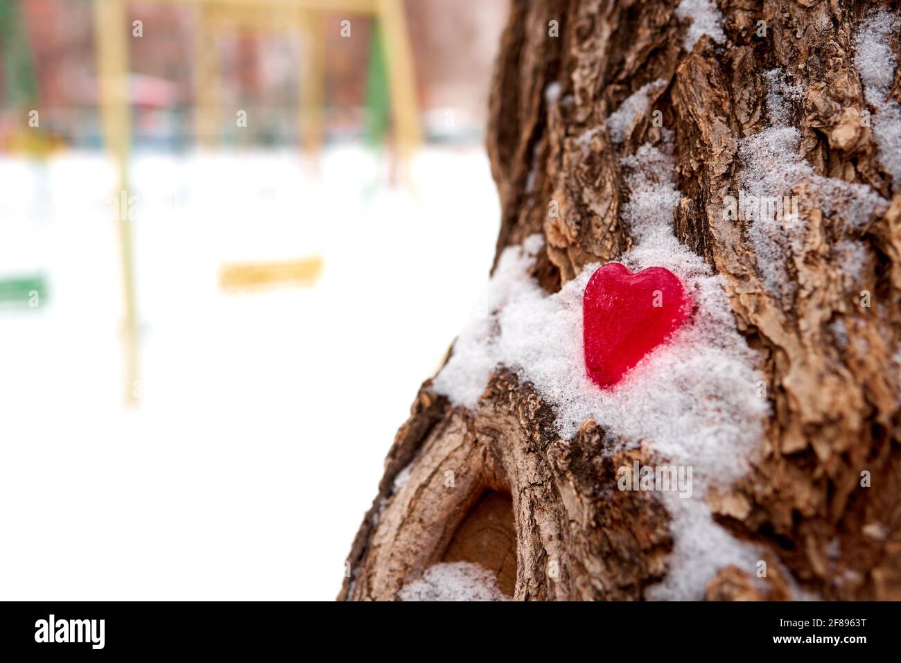 Eine rote Figur eines Herzens aus Eis liegt im Schnee auf der Rinde eines Baumes. Unerfülltes Liebeskonzept. Unscharfer Hintergrund, Kopierbereich Stockfoto