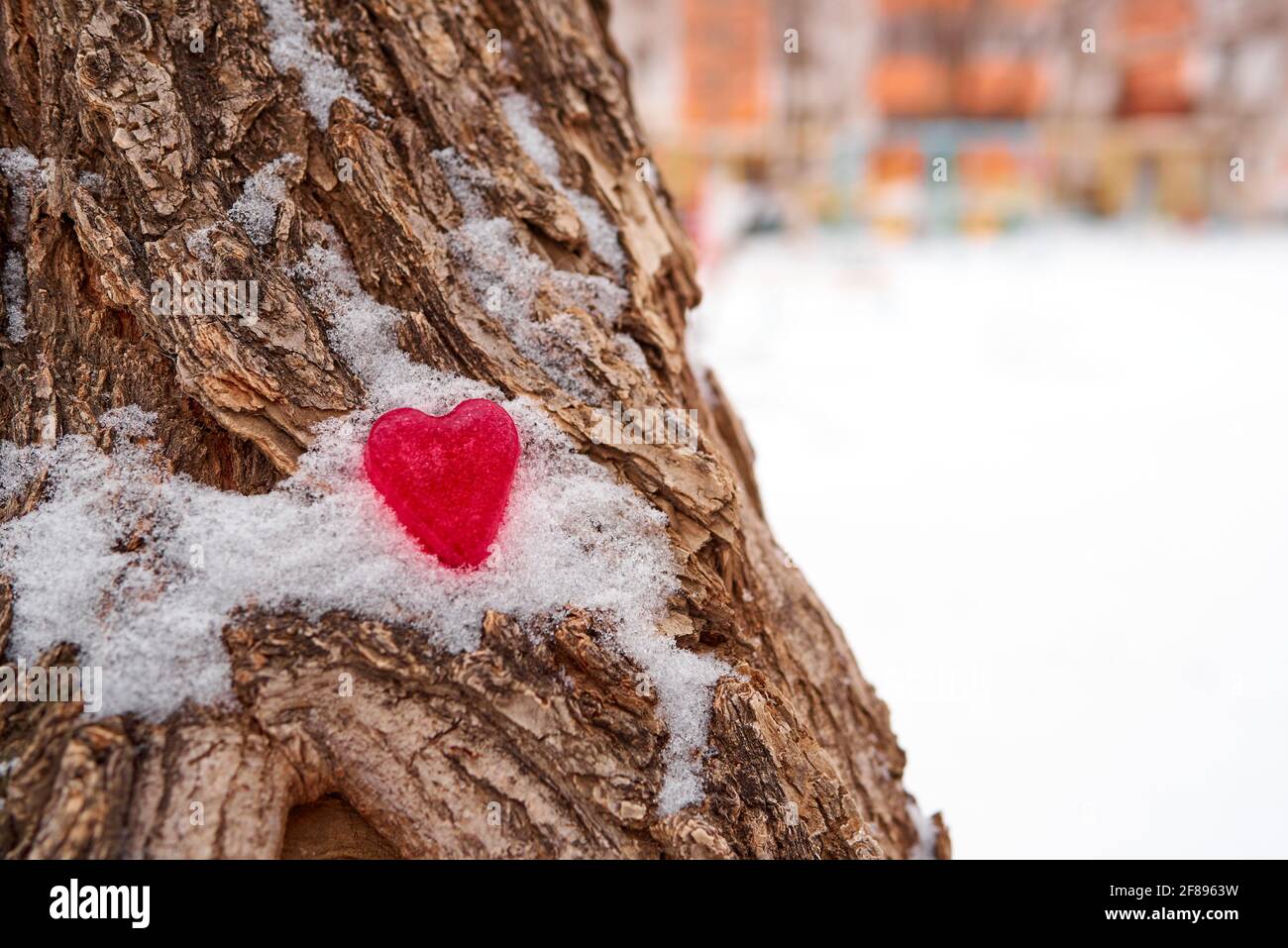 Eine rote Figur eines Herzens aus Eis liegt im Schnee auf der Rinde eines Baumes. Unerfülltes Liebeskonzept. Unscharfer Hintergrund, Kopierbereich Stockfoto