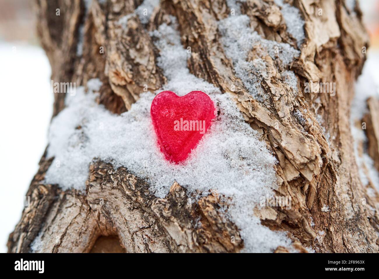 Eine rote Figur eines Herzens aus Eis liegt im Schnee auf der Rinde eines Baumes. Unerfülltes Liebeskonzept. Unscharfer Hintergrund, Kopierbereich Stockfoto