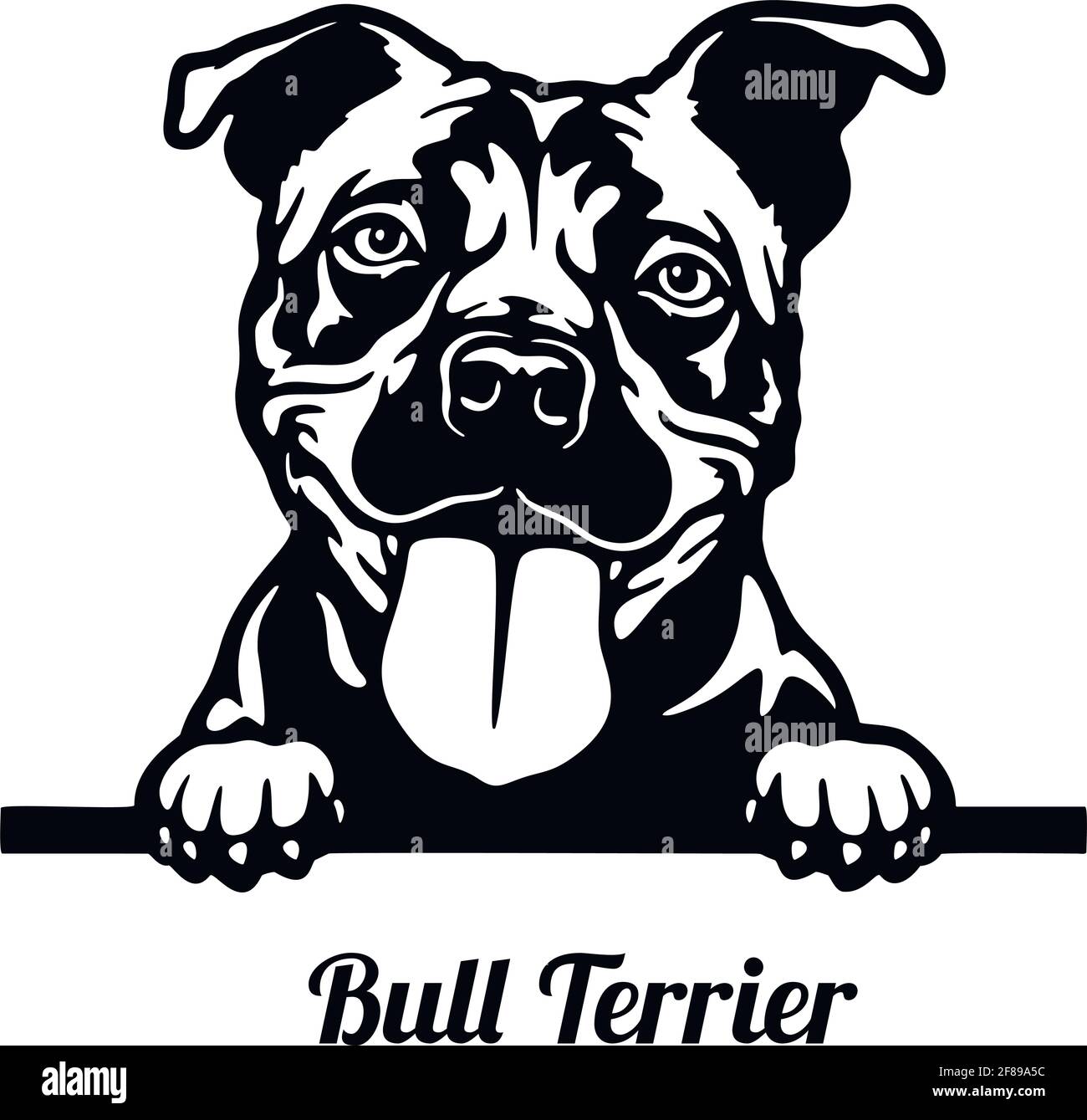 Bull Terrier Peeking Dog - Kopf isoliert auf weiß Stock Vektor