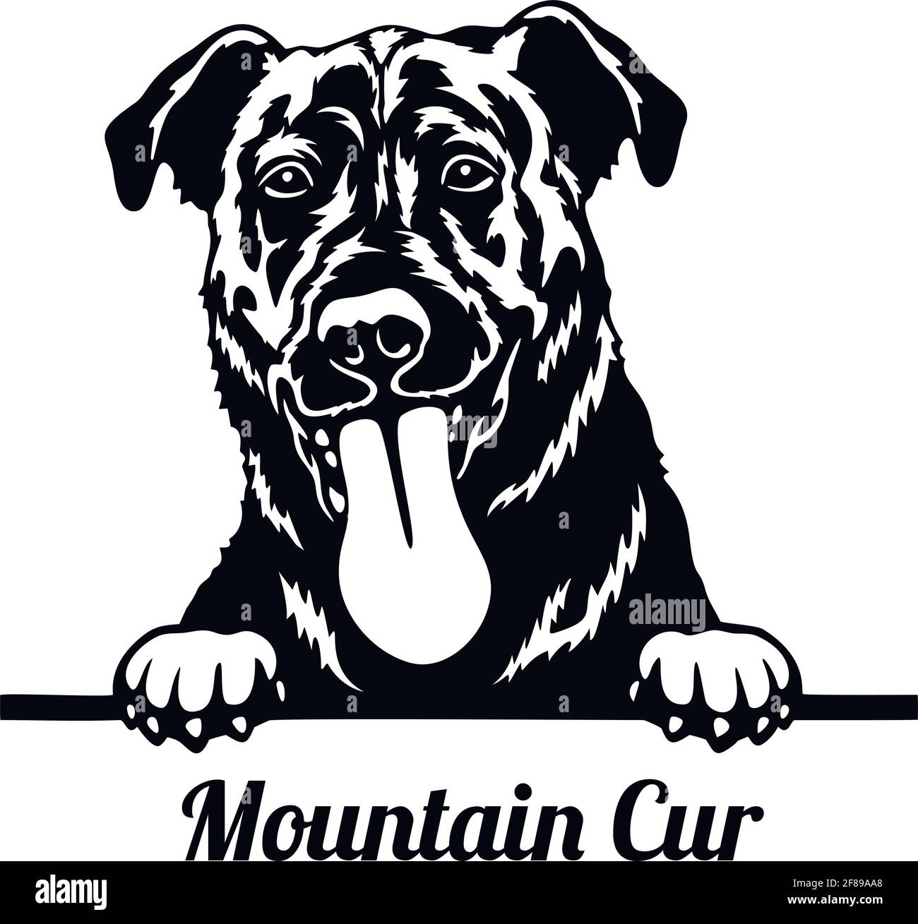 Mountain Cur Peeking Dog - Kopf isoliert auf weiß Stock Vektor