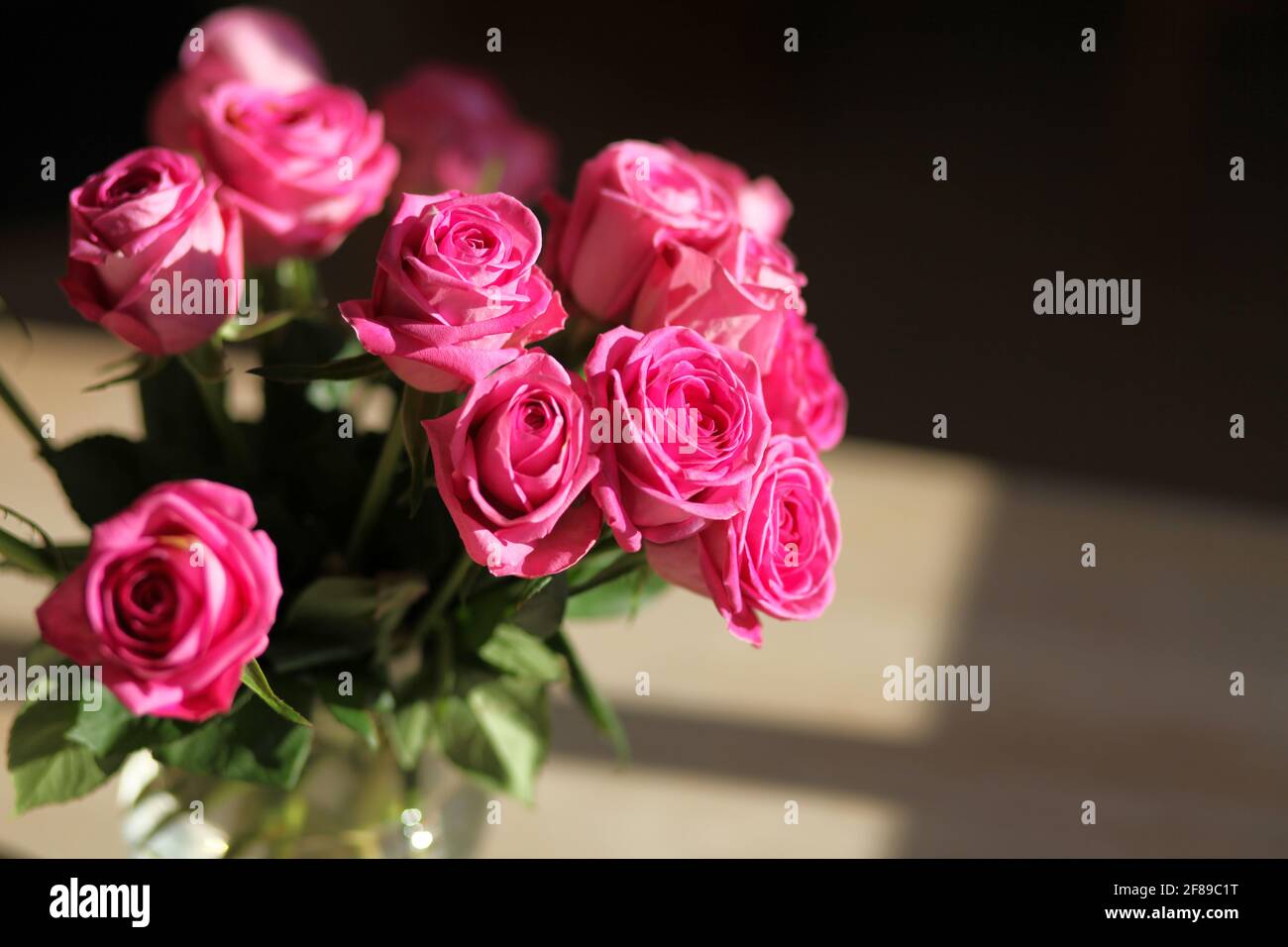 Rosa Rosen Bouquet, blühende Rosen. Rose Blumen Büschel Kunst Design, Natur. Valentinstagsgeschenk, Stockfoto