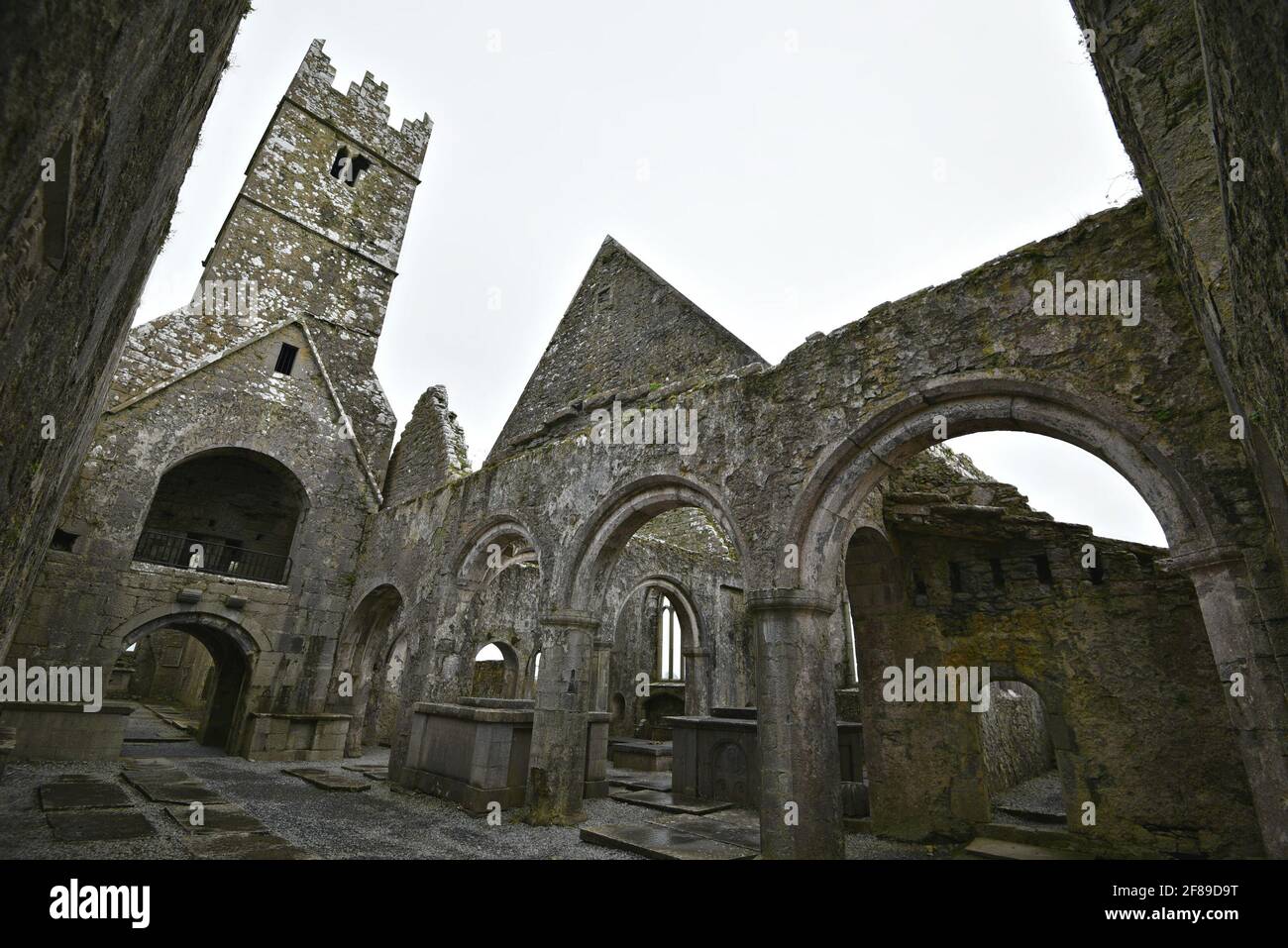 Kirche und Glockenturm Blick auf die mittelalterliche Franziskaner Ross Errilly Friary in Headford, County Galway, Irland. Stockfoto