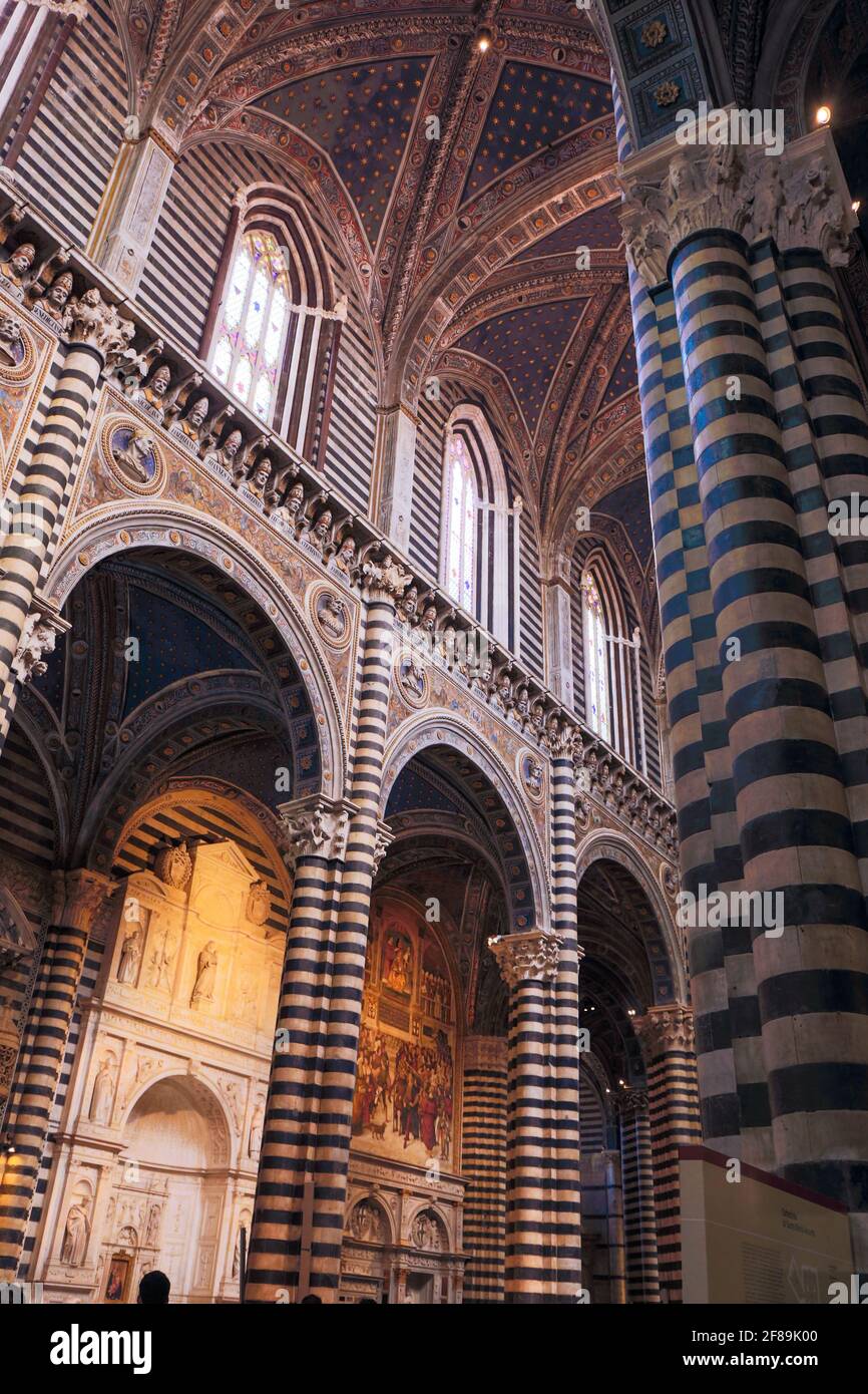 Siena, Italien. Kathedrale Santa Maria Assunta. Der Innenraum ist aus weißem und grünlich-schwarzem Marmor in wechselnden Streifen gebaut. Der Horizont Stockfoto