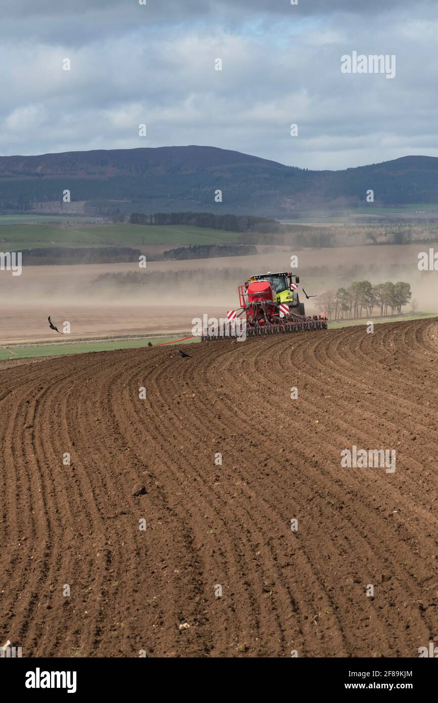 Eine Scheibensaatbohrmaschine zur Aussaat von Gerste in der Landschaft von Aberdeenshire An einem windigen Nachmittag Stockfoto