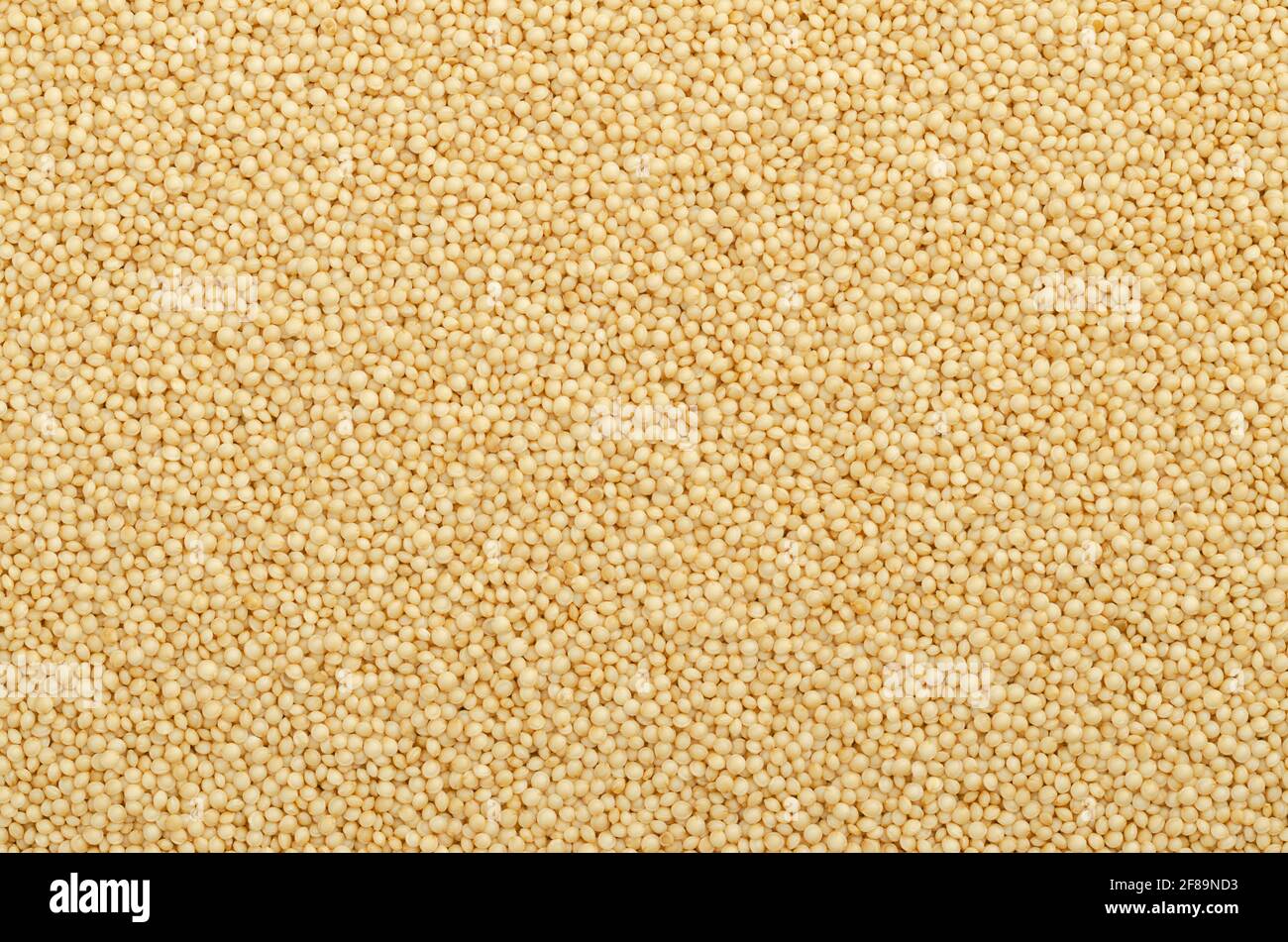 Amaranth Korn Oberfläche und Hintergrund. Kleine Samen von Amaranthus, einem glutenfreien Pseudozereal ähnlich Quinoa, ein Hauptnahrungsmittel und Proteinquelle. Stockfoto