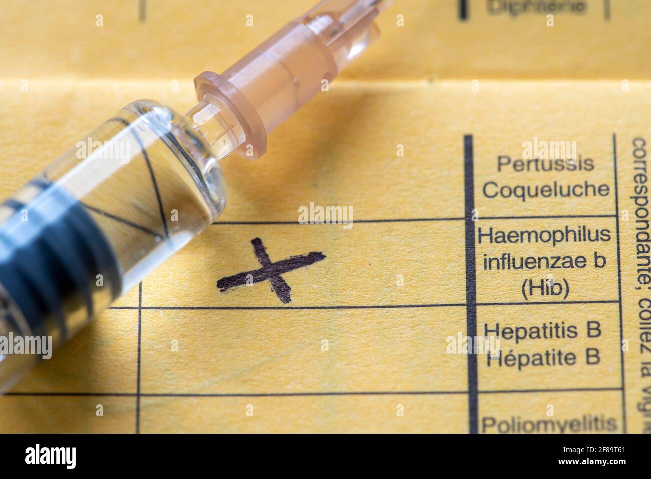 Impfbuch, Impfung gegen Haemophilus Influenza Typ B (HIB), den häufigsten Erreger eitriger Meningitis, bei Kindern bis 5 Jahre ag Stockfoto
