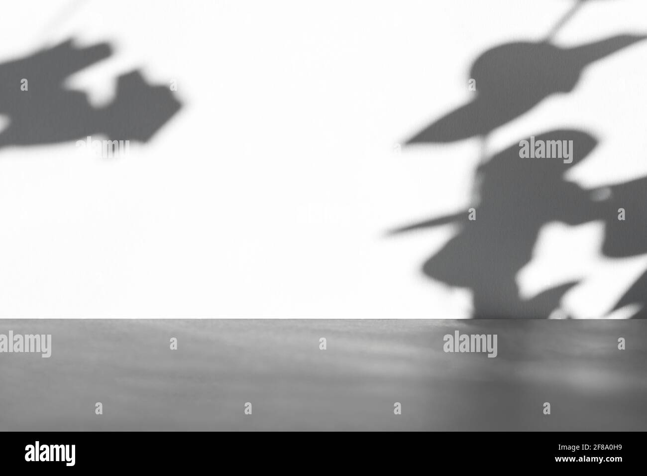 Plant Shadow Scene zur Produktpräsentation mit Lichtern und Schatten. Stockfoto