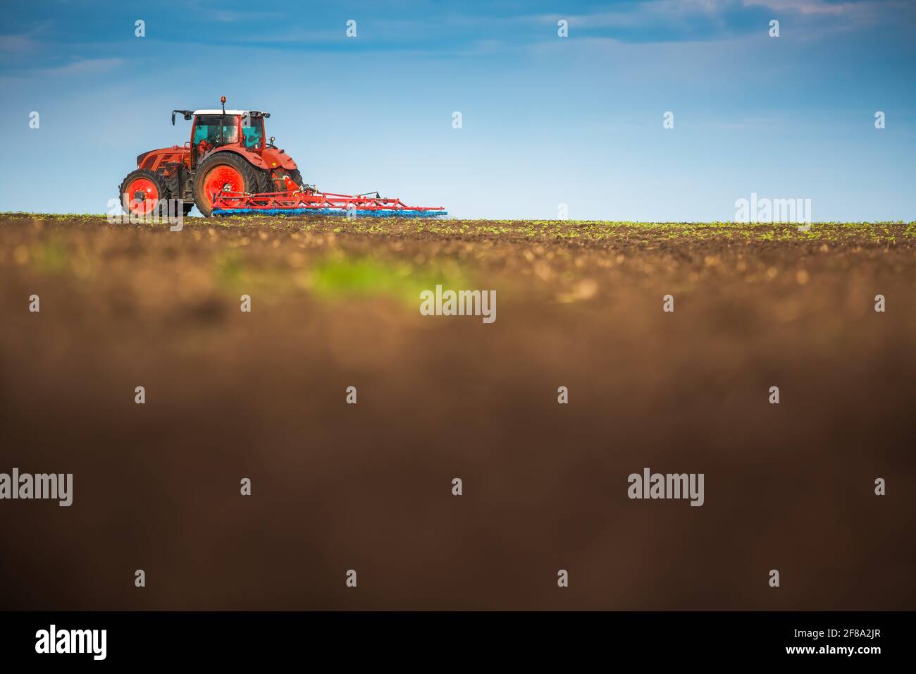 Landwirt in Vorbereitung der Flächen mit Saatbeet Grubber Traktor Stockfoto