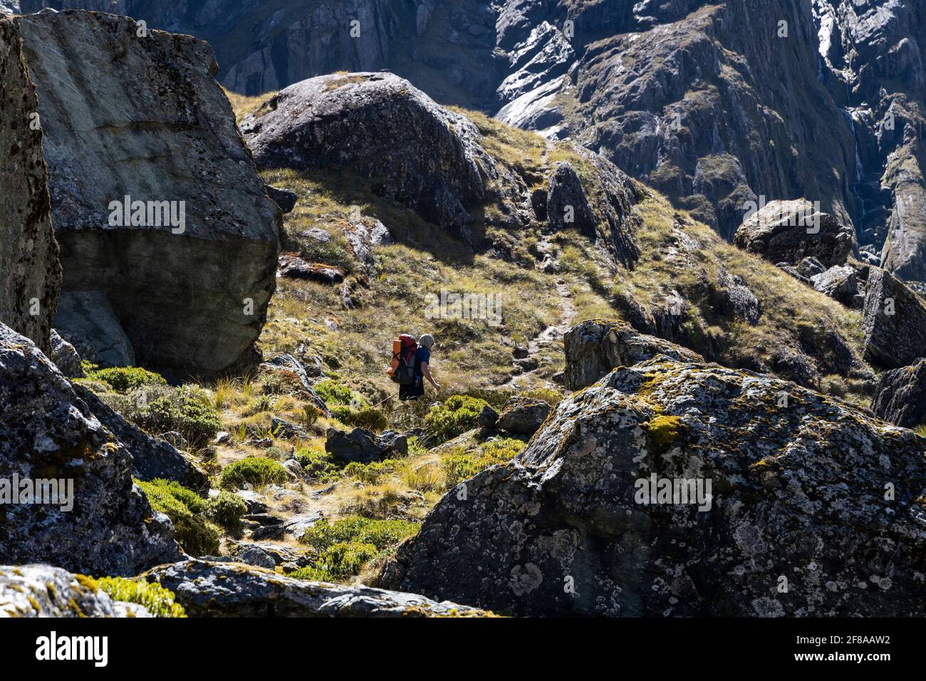 Valley of the Trolls, Routeburn, Neuseeland Stockfoto