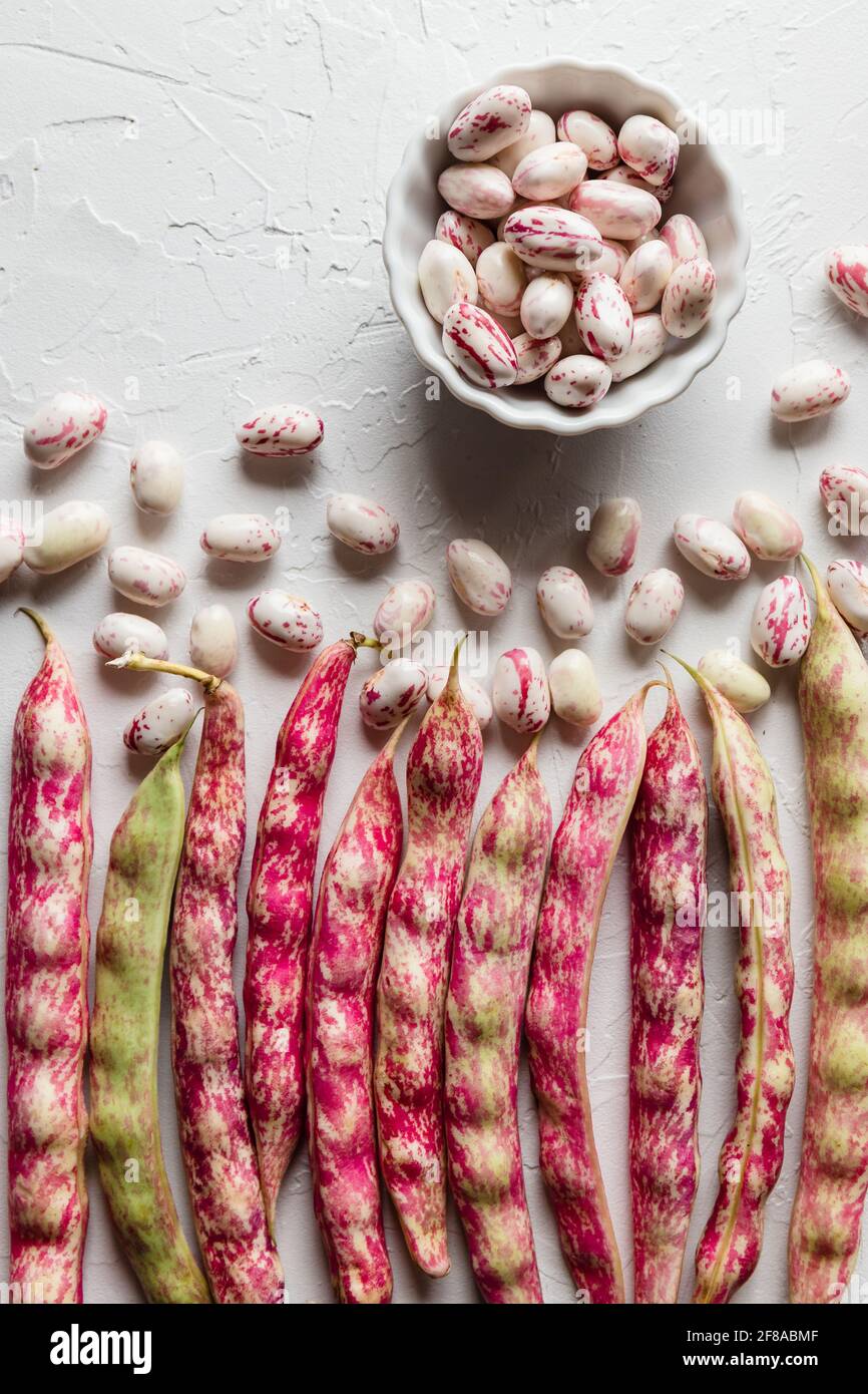 Reihe von bunten Cranberry Borlotti Shell-Bohnen mit losen geschälten Bohnen und geschälte Bohnen in White Bowl Stockfoto