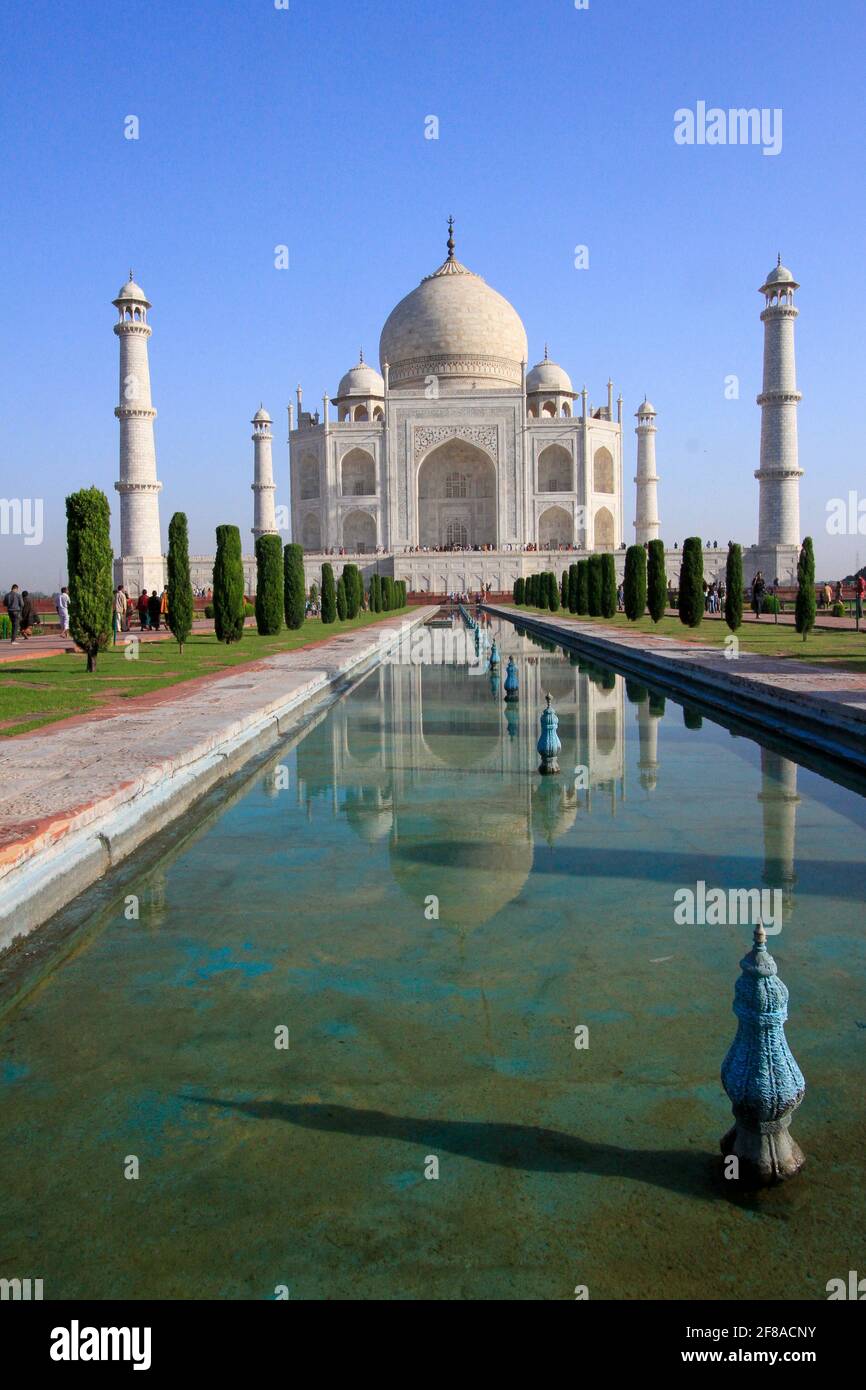 Taj Mahal spiegelte sich in einem Wasserbecken mit blauem Himmel in Agra, Indien, wider Stockfoto