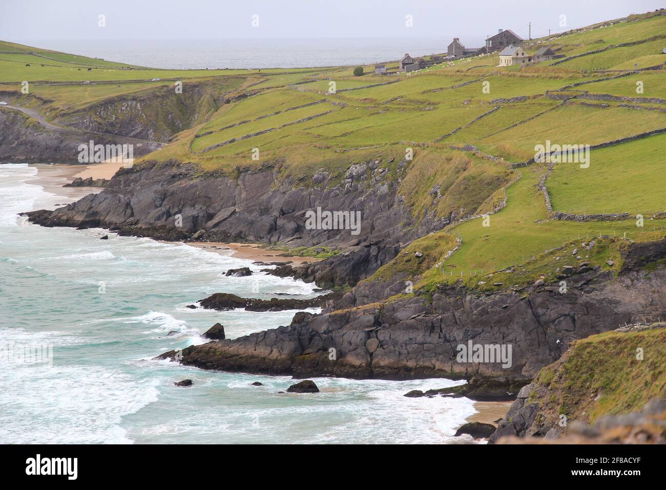 Felder und Klippen des ländlichen Irland entlang der Küste mit Meer Stockfoto