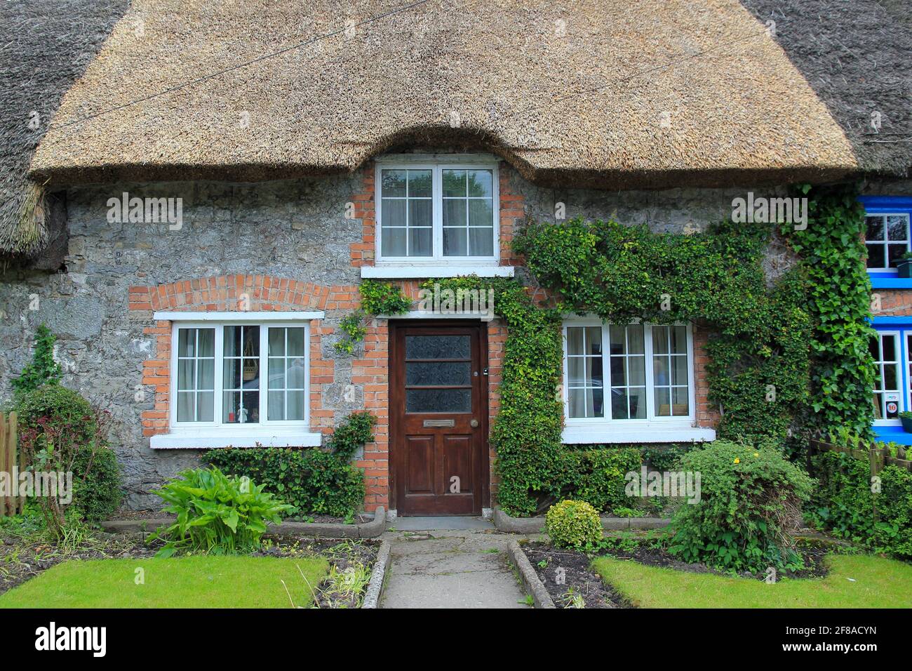 Steinhütte mit Reetdach und Ivy in Adare, Irland Stockfoto