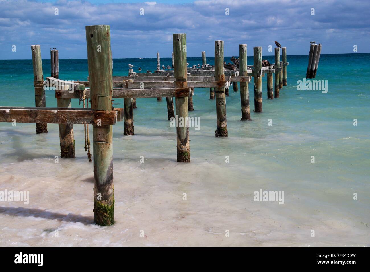 Ruinen eines hölzernen Piers mit Pfosten, die nach Blau führen Grüner Ozean in Cancun Mexiko Stockfoto