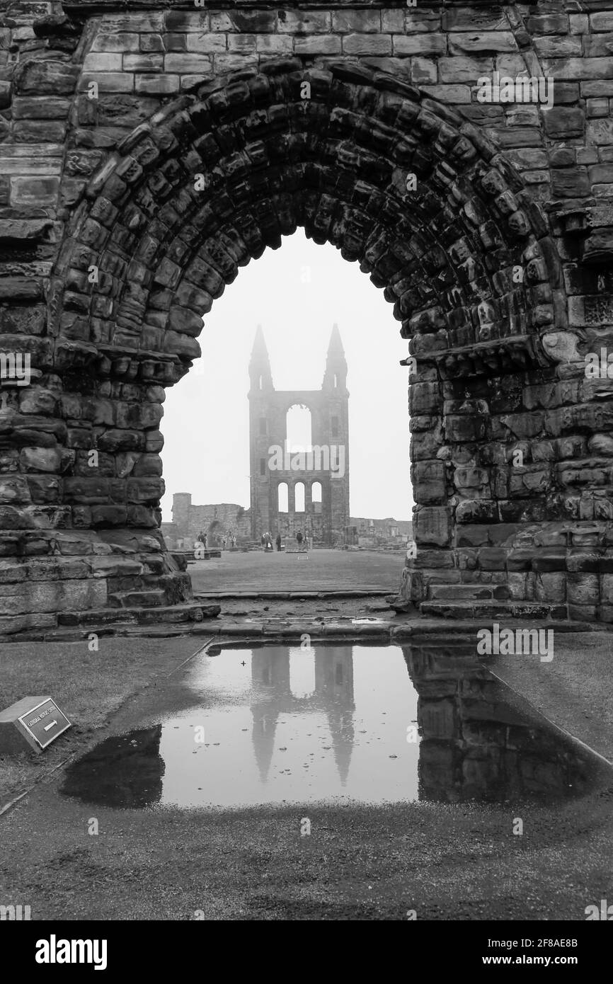 Die Ruinen der St. Andrew's Cathedral, Schottland, spiegeln sich im Wasser mit Nebel Stockfoto