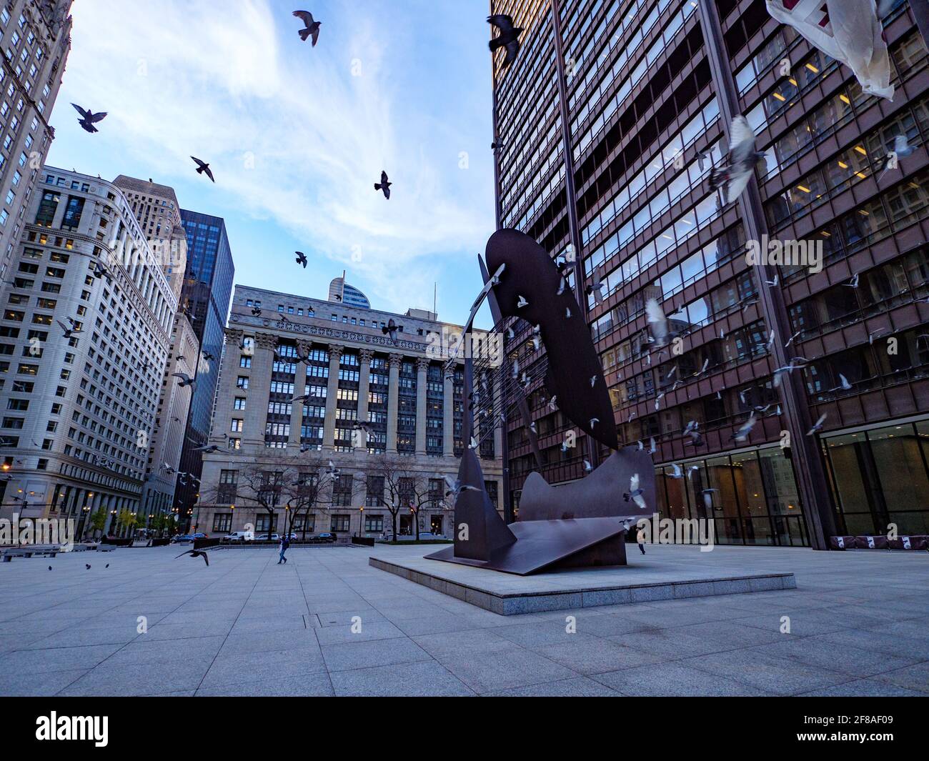 Daley Plaza Chicago. Tauben im Flug und Picasso-Skulptur Stockfoto