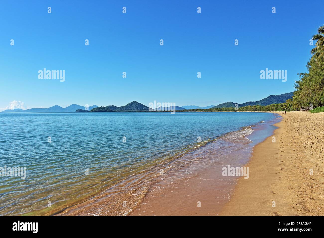 Der klare, blaue Himmel und das ruhige Meer blicken heute Morgen vom Sand vor Vivo in Palm Cove, Cairns im Norden von Queensland, Australien, nach Süden Stockfoto