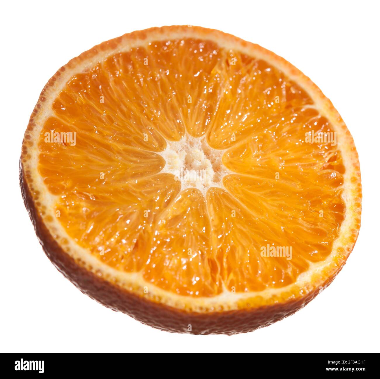 Clementine, Clementin (Citrus × clementina) Stockfoto
