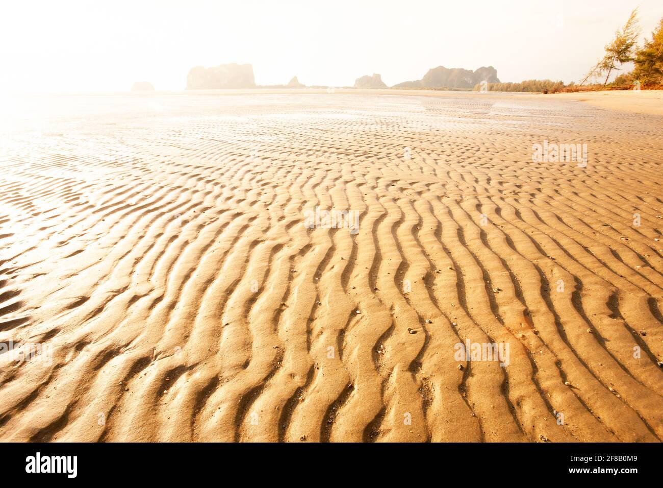 Landschaft von welligen Sandstrand des tropischen Meeres in der Dämmerung, glühende Sonne scheint auf goldenen sandigen, abstrakten Form von sandigen Wellen im Sommer. Trang, Thailand. Stockfoto