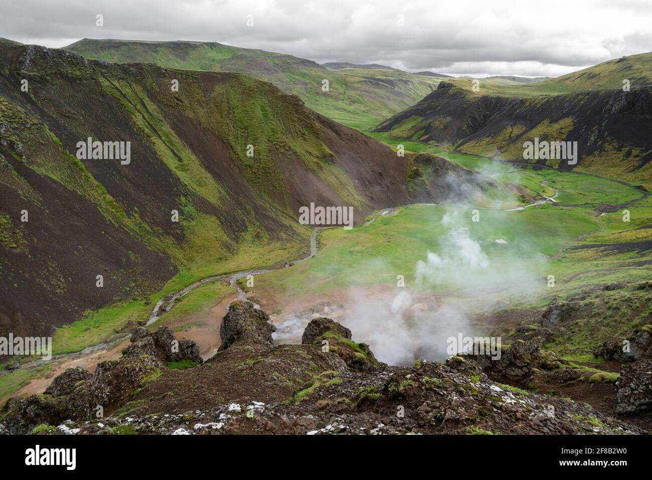 Dampfrauch steigt aus kochendem Schlamm in einem braunen und grünen Tal des Geysir Geothermal Area, Island. Die heißen Quellen am Golden Circle halten an. Stockfoto