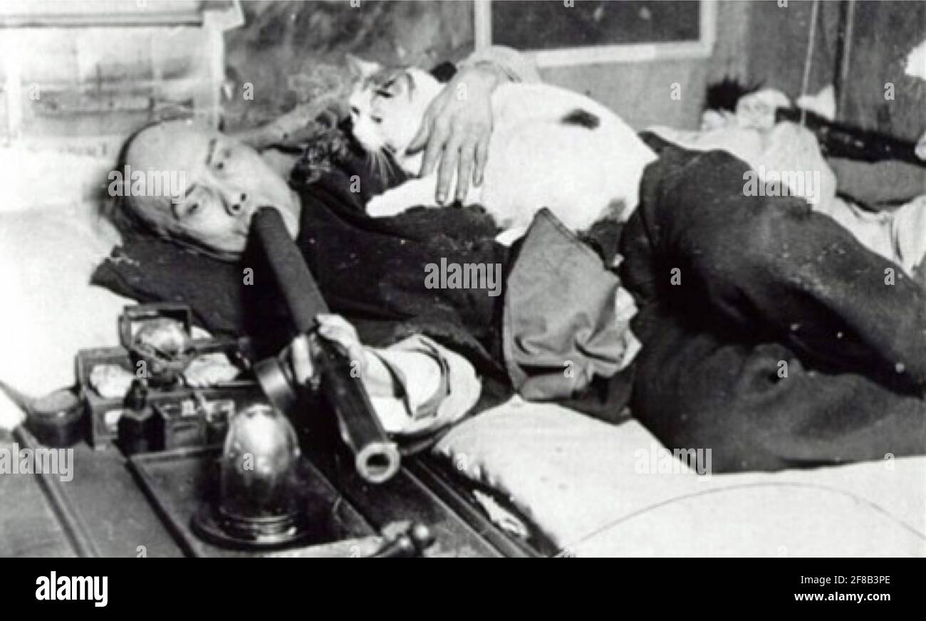 Frühe Fotografie eines chinesischen Mannes, der in San Francisco mit seiner Katze Opium raucht. Dies wurde zu einer meistverkauften Souvenir-Postkarte. Stockfoto